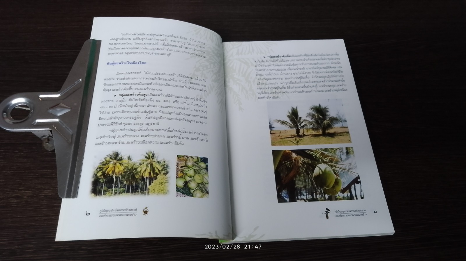 ภูมิปัญญาไทยในการสร้างสรรค์งานหัตถกรรมจากกะลามะพร้าว