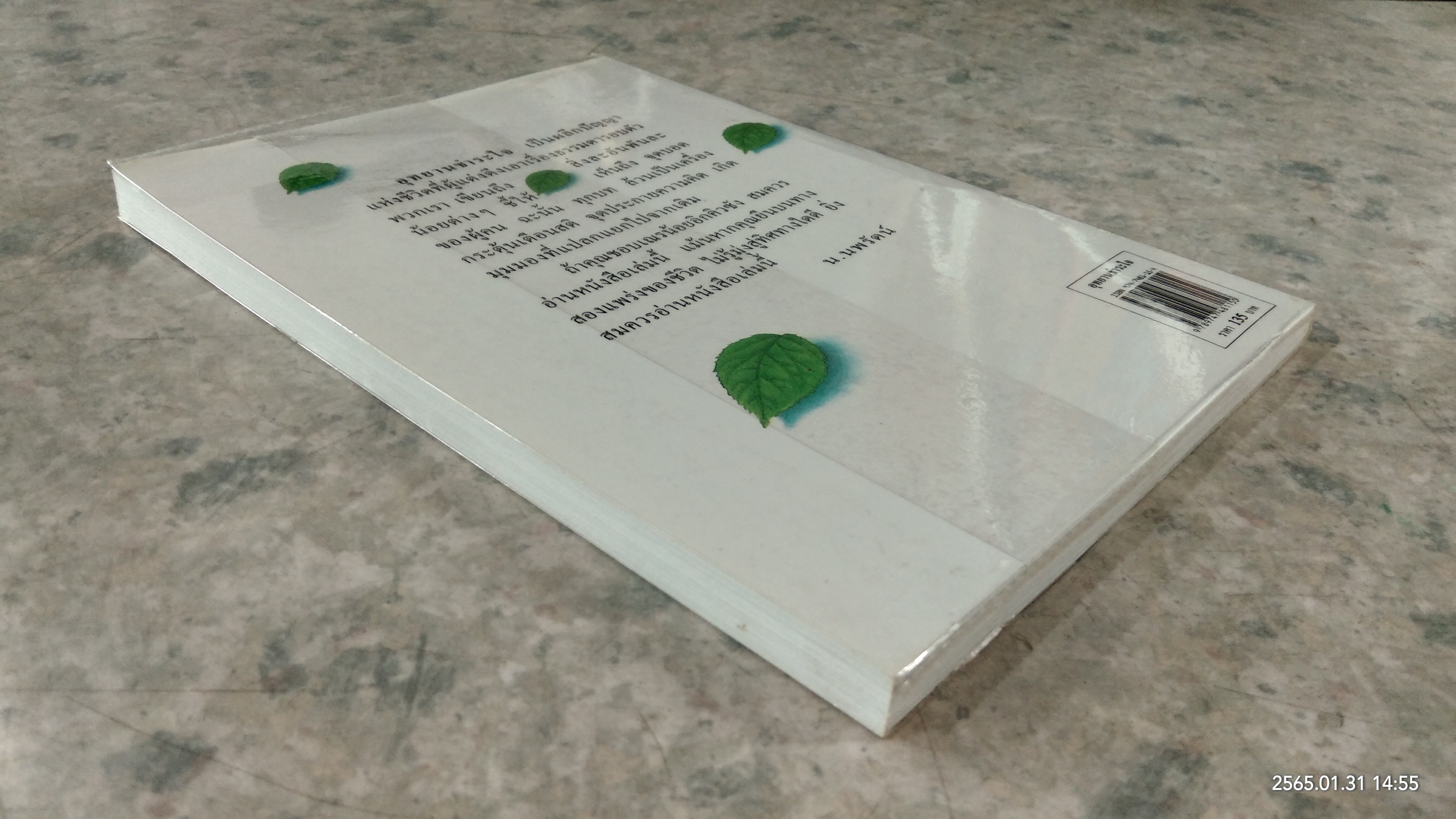 อุทยานชำระใจ / พานไถเฉิง