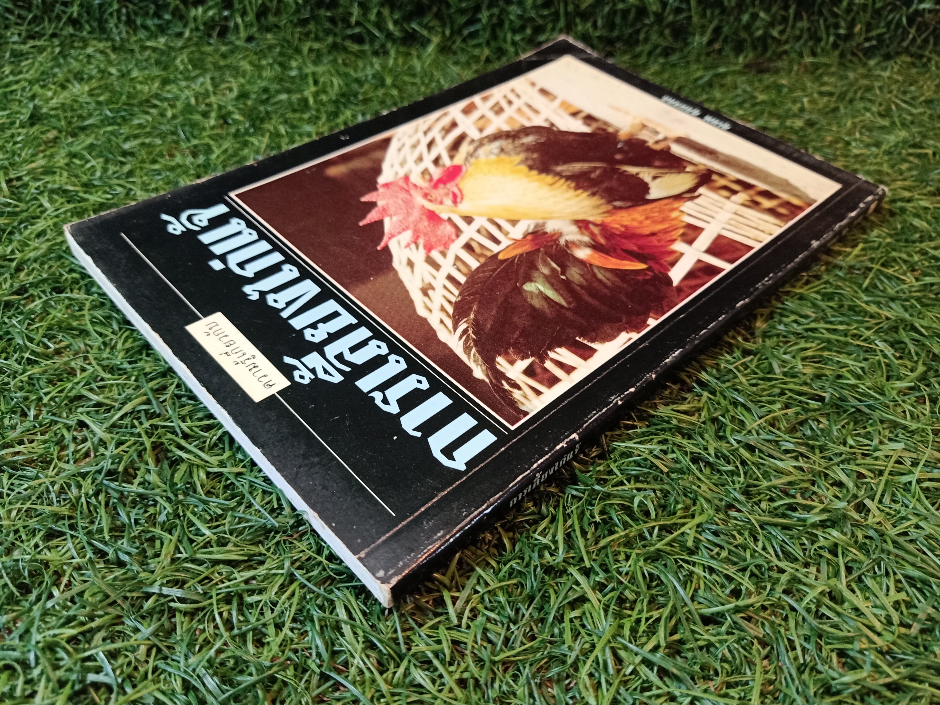 การเลี้ยงไก่แจ้ / สุเทพ ศุภมงคล