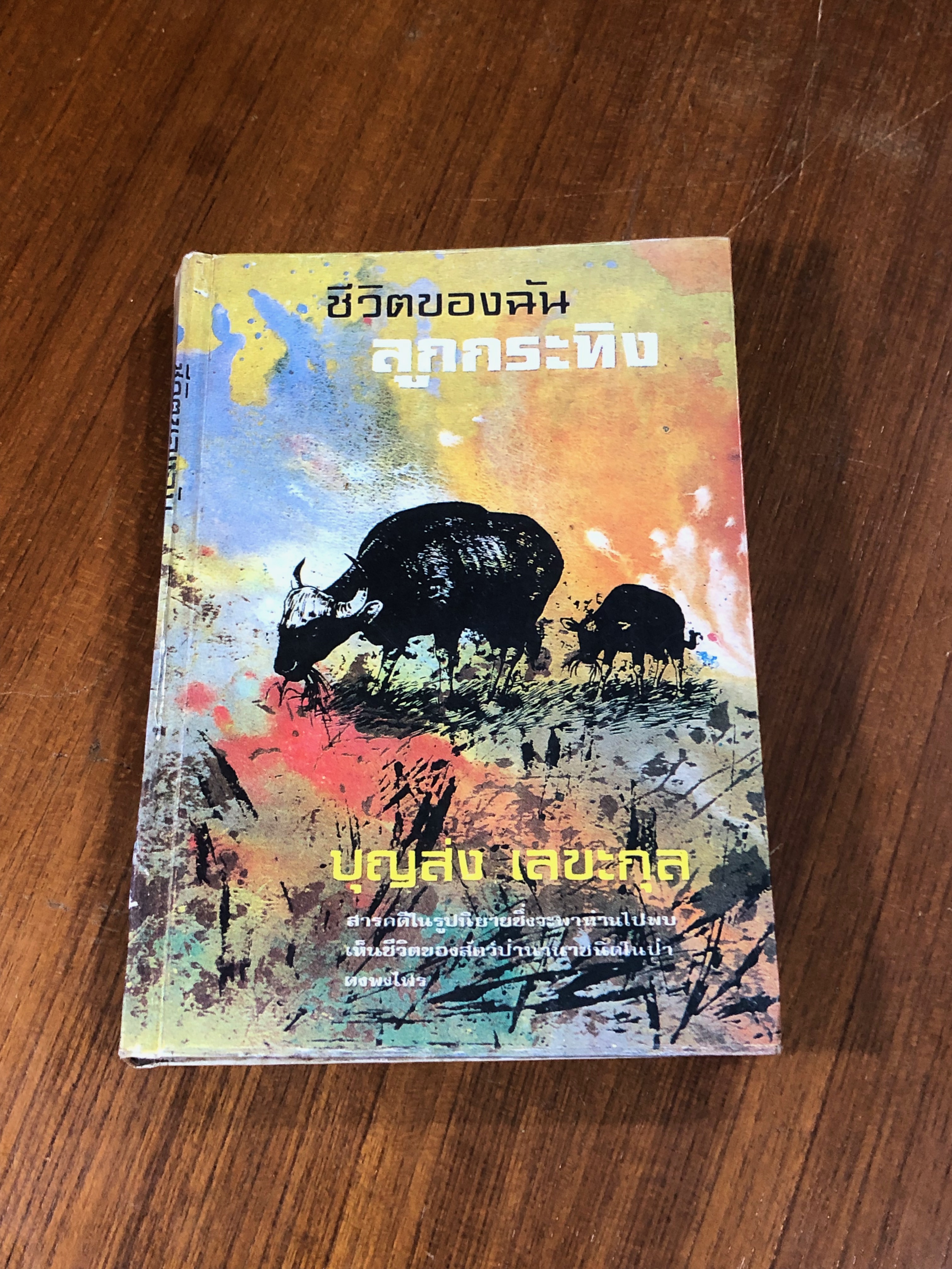 ชีวิตของฉัน ลูกกระทิง / บุญส่ง เลขะกุล
