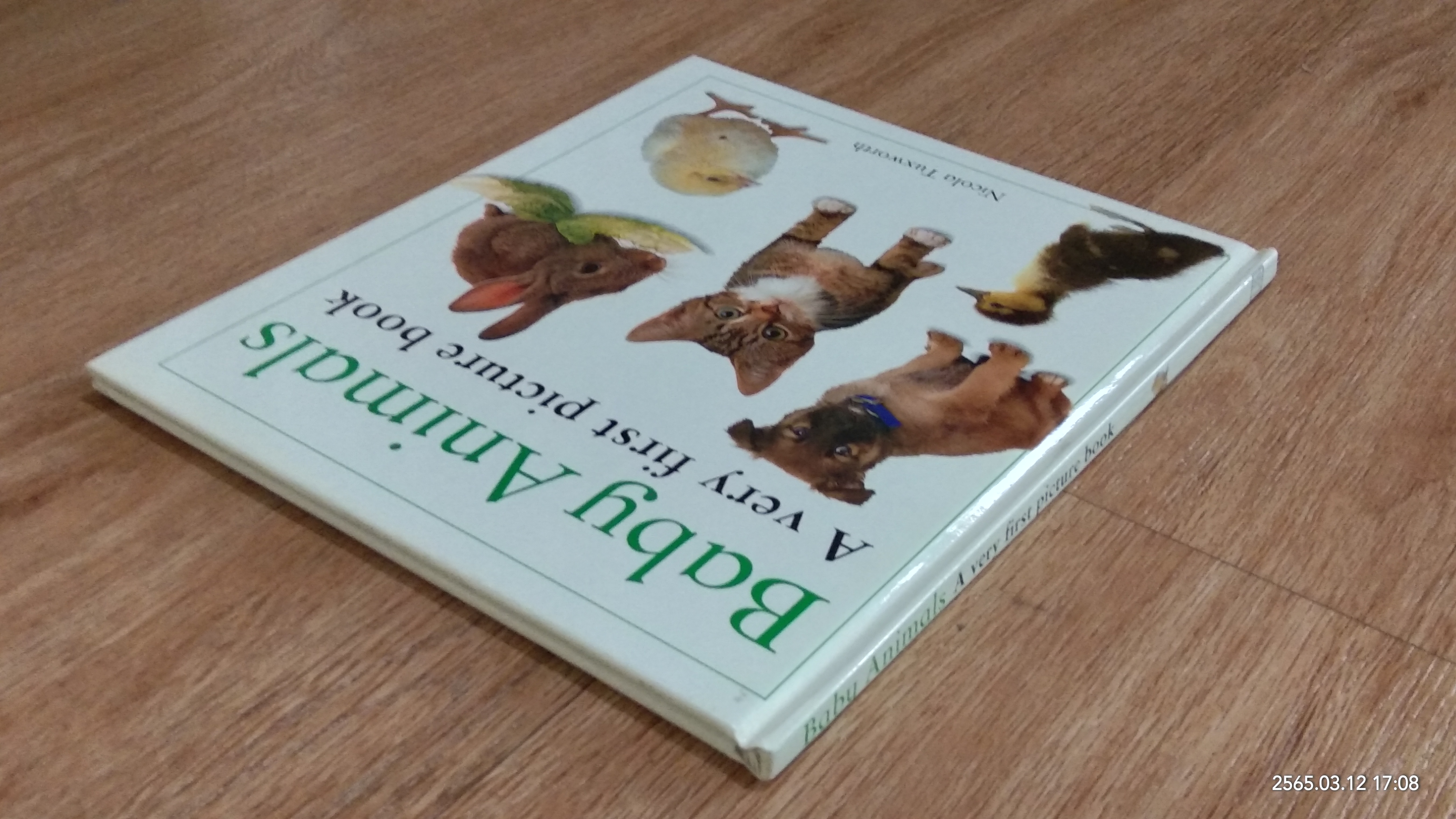 Baby Animals Avery first picture book