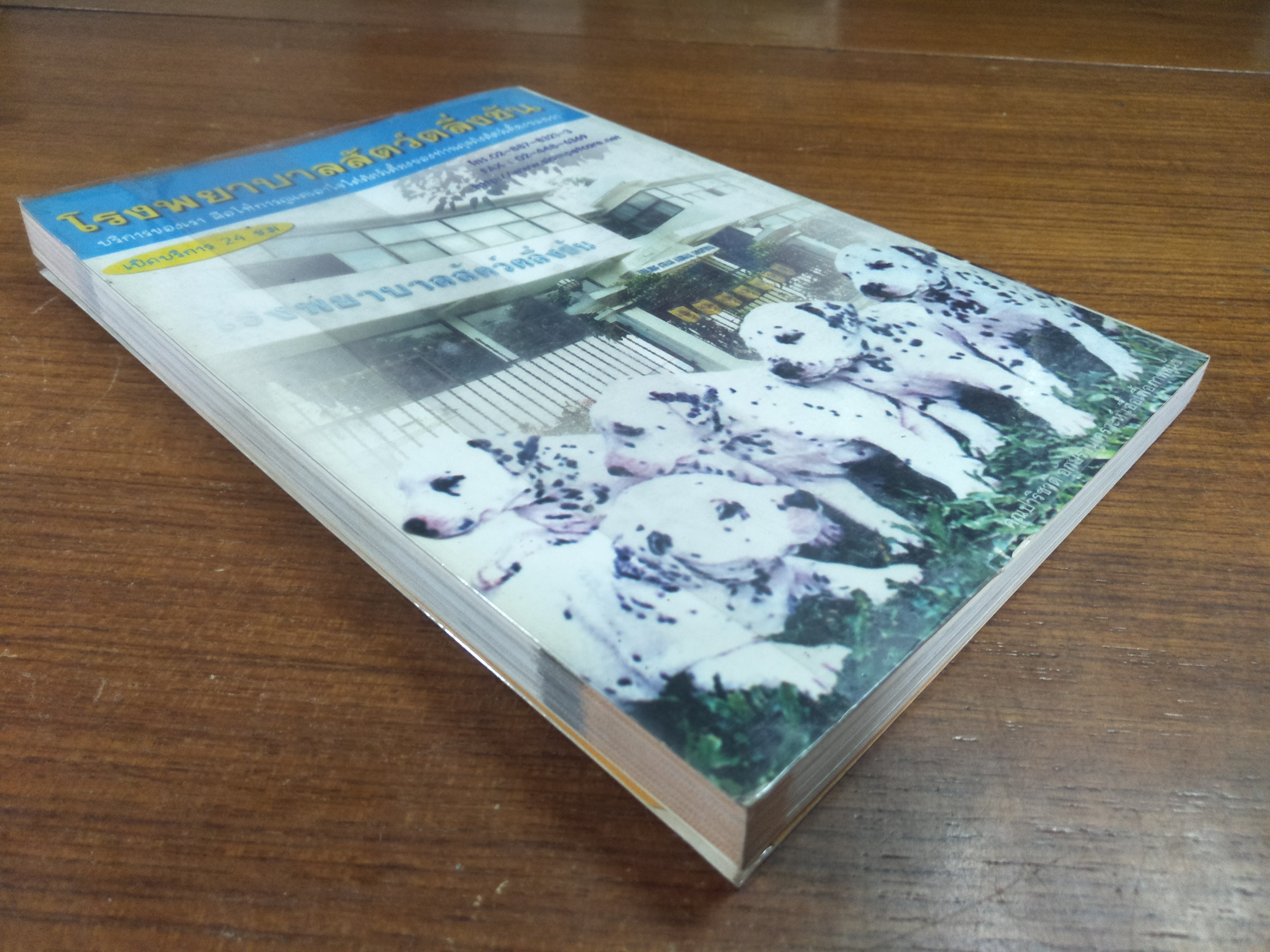 หมา (ไม่) หมา ชุดรักให้เป็น / ชนกพร จันทวิบูลย์