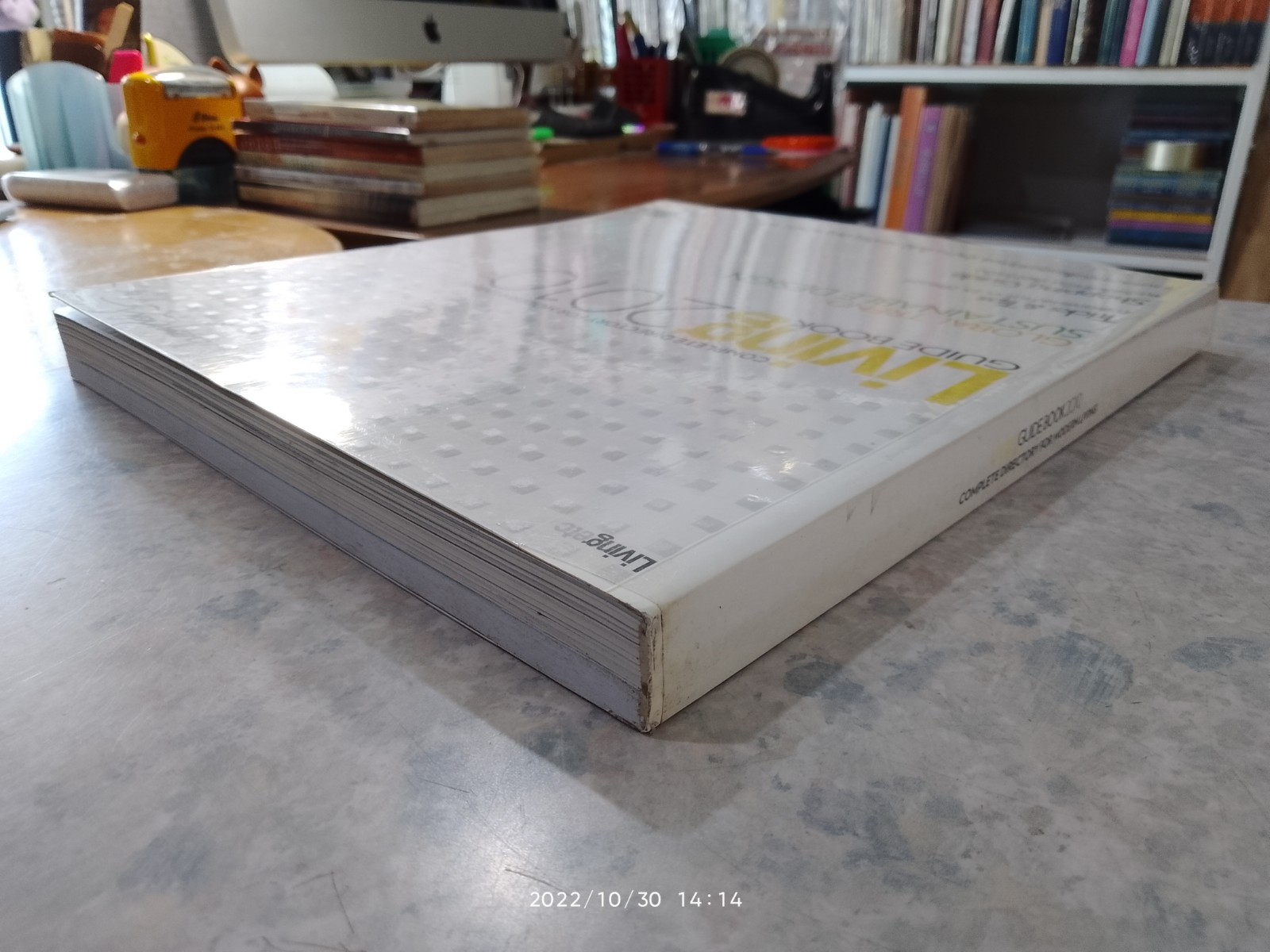 Living GUIDE BOOK 2010