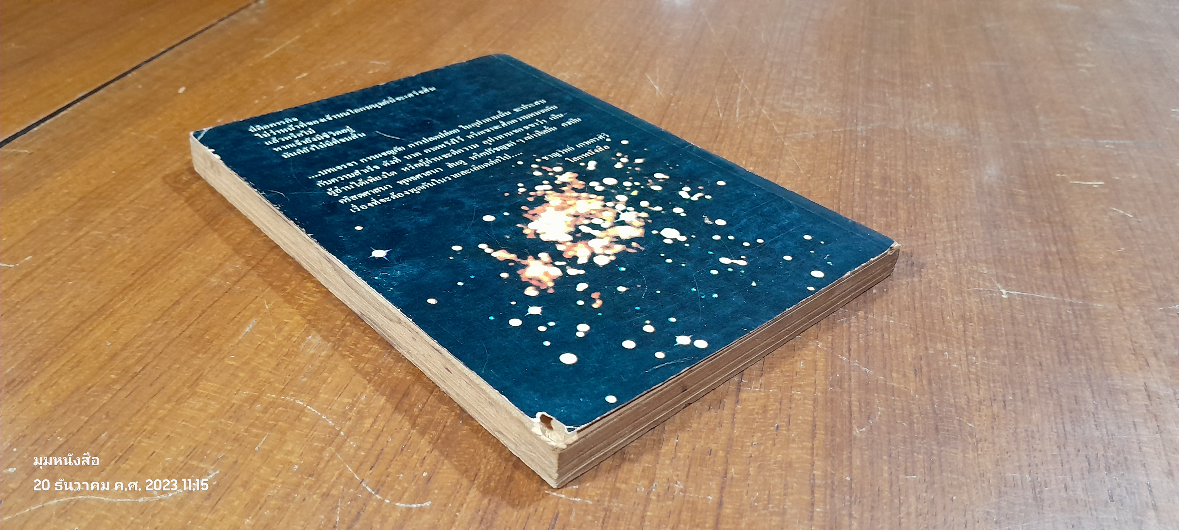 มายา / ริชาร์ด บาค