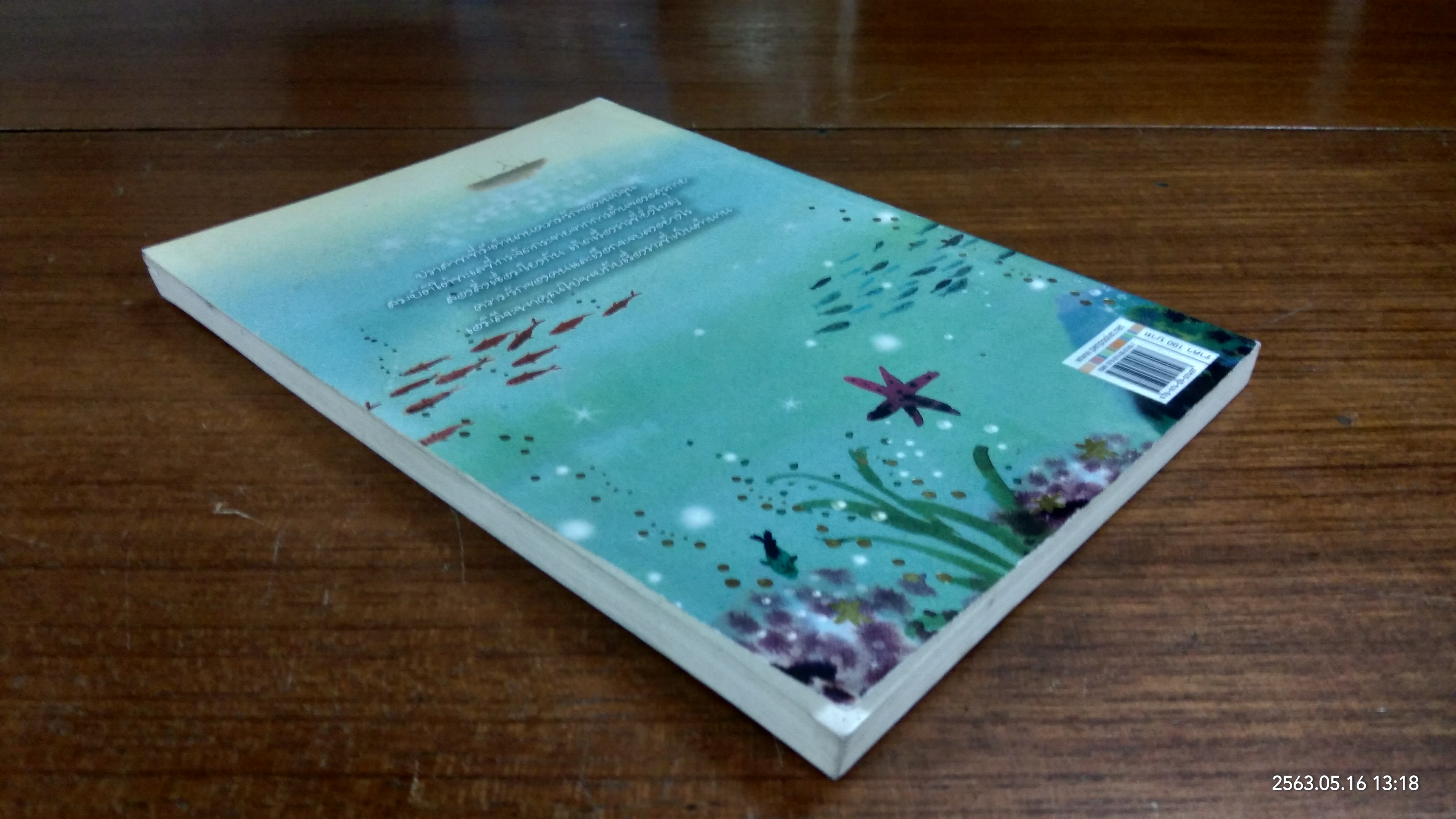 เอมิลี่มีหาง ตอน ปราสาทในม่านหมอก / ลิซ เคสส์เลอร์