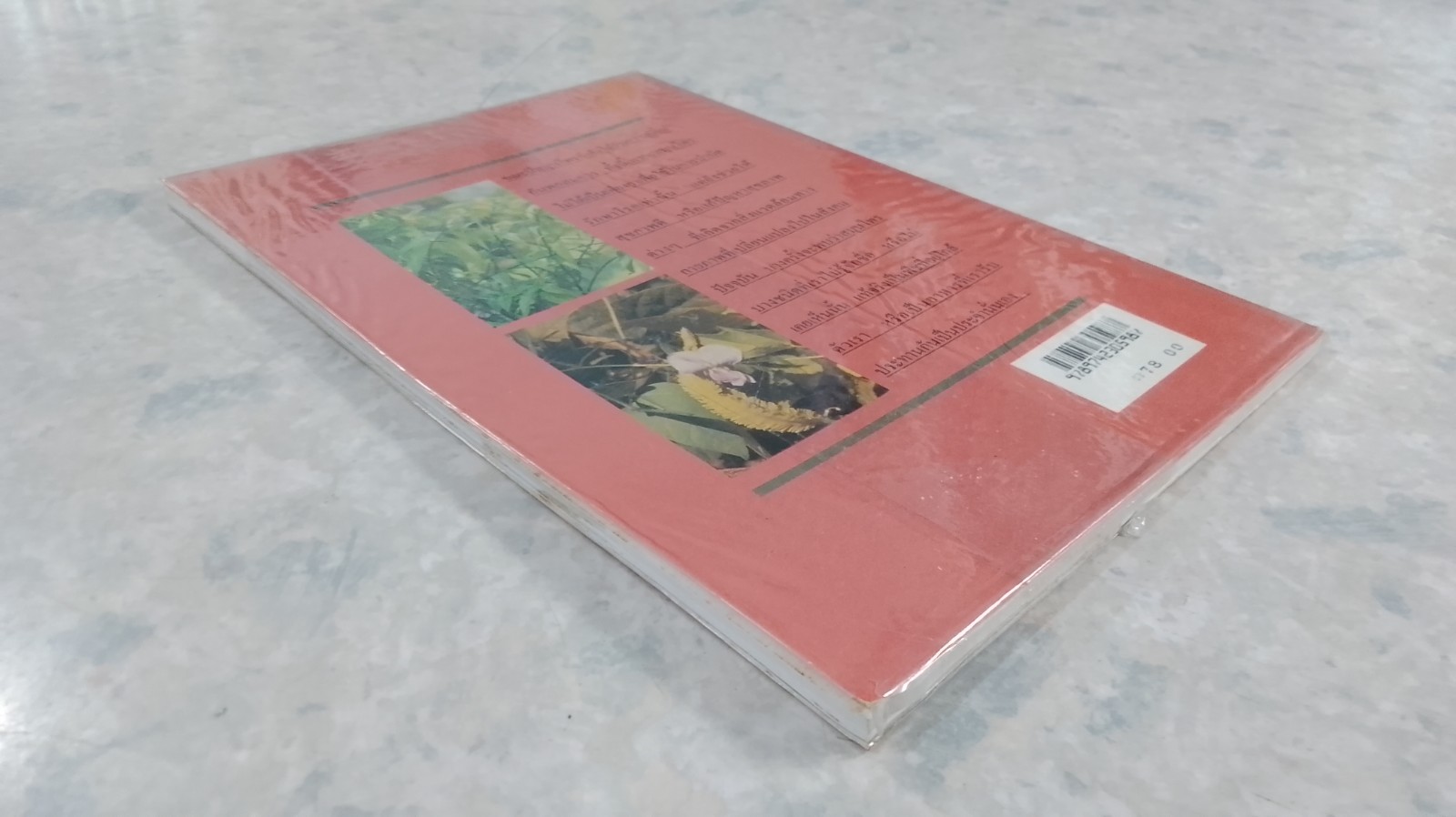 สุขภาพดีด้วยสมุนไพรใกล้ตัว ชุด 2