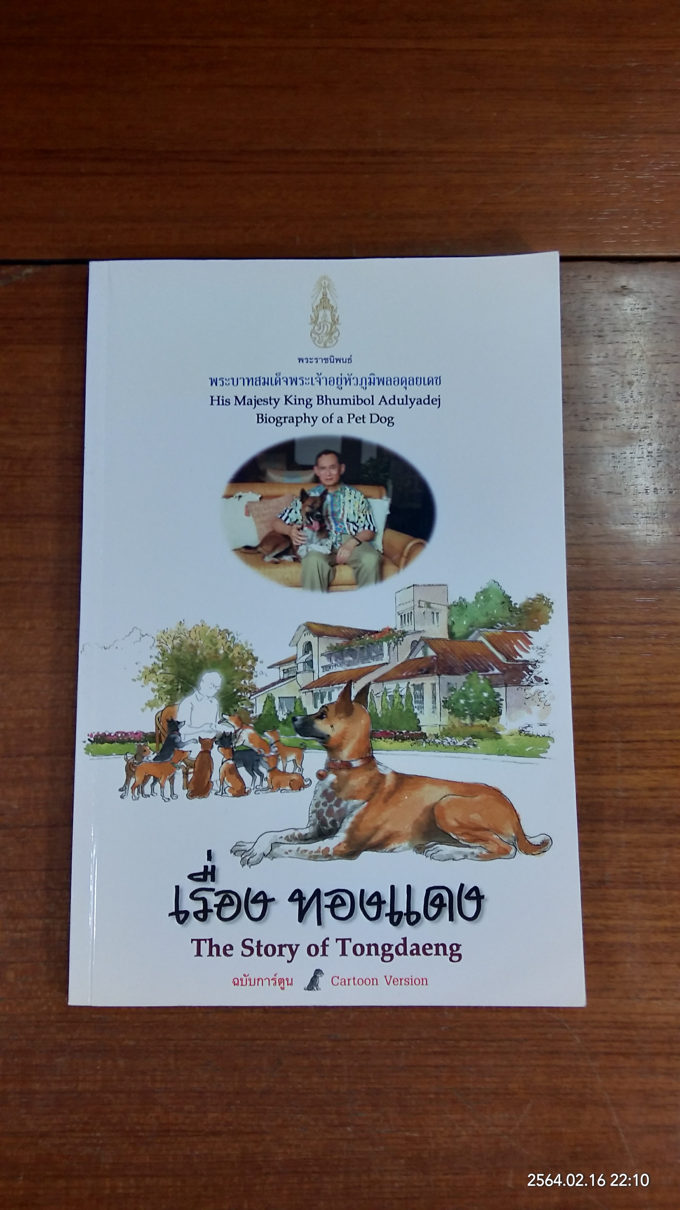 เรื่อง ทองแดง ฉบับการ์ตูน