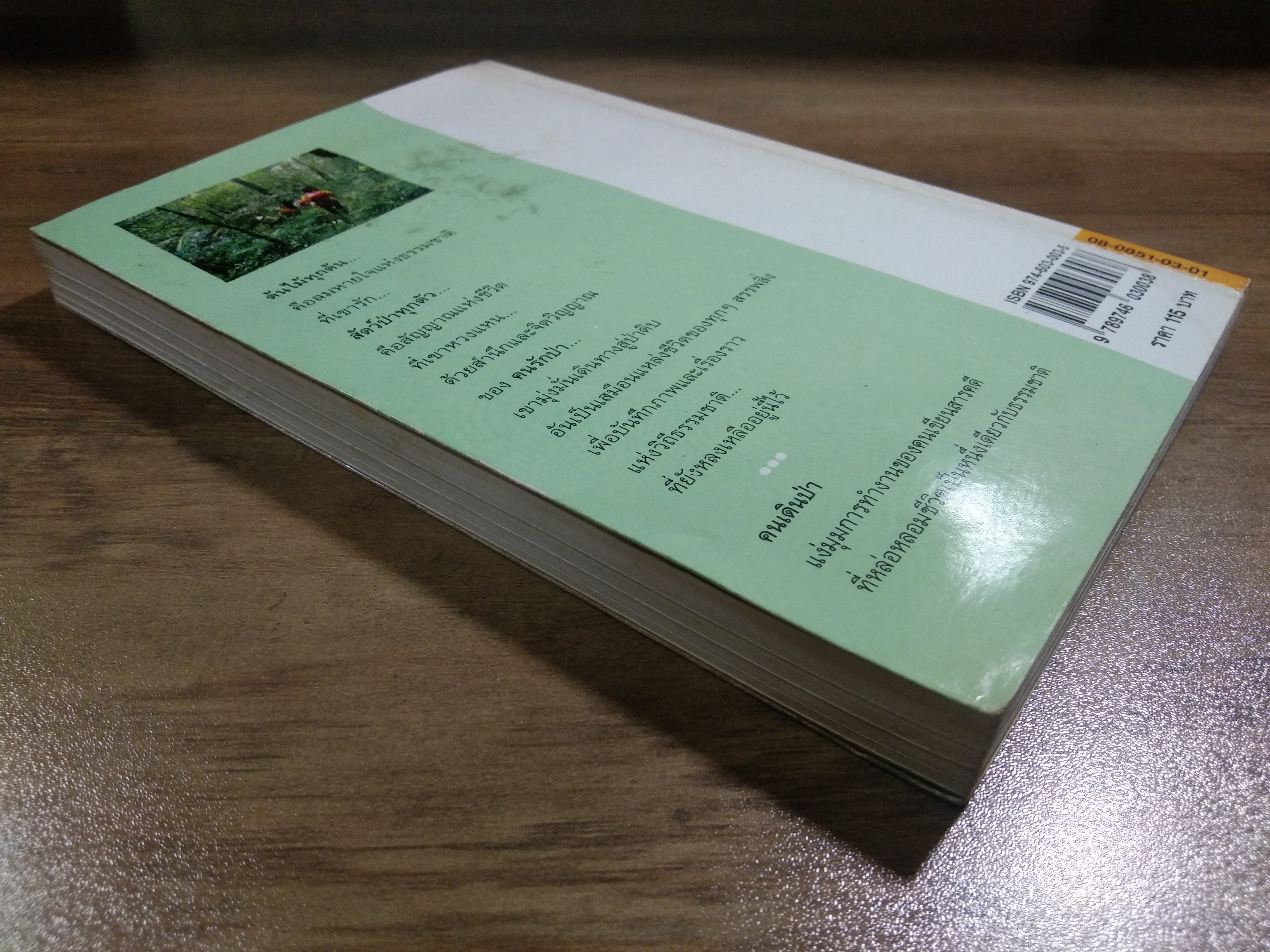 คนเดินป่า / สุรจิต จามรมาน