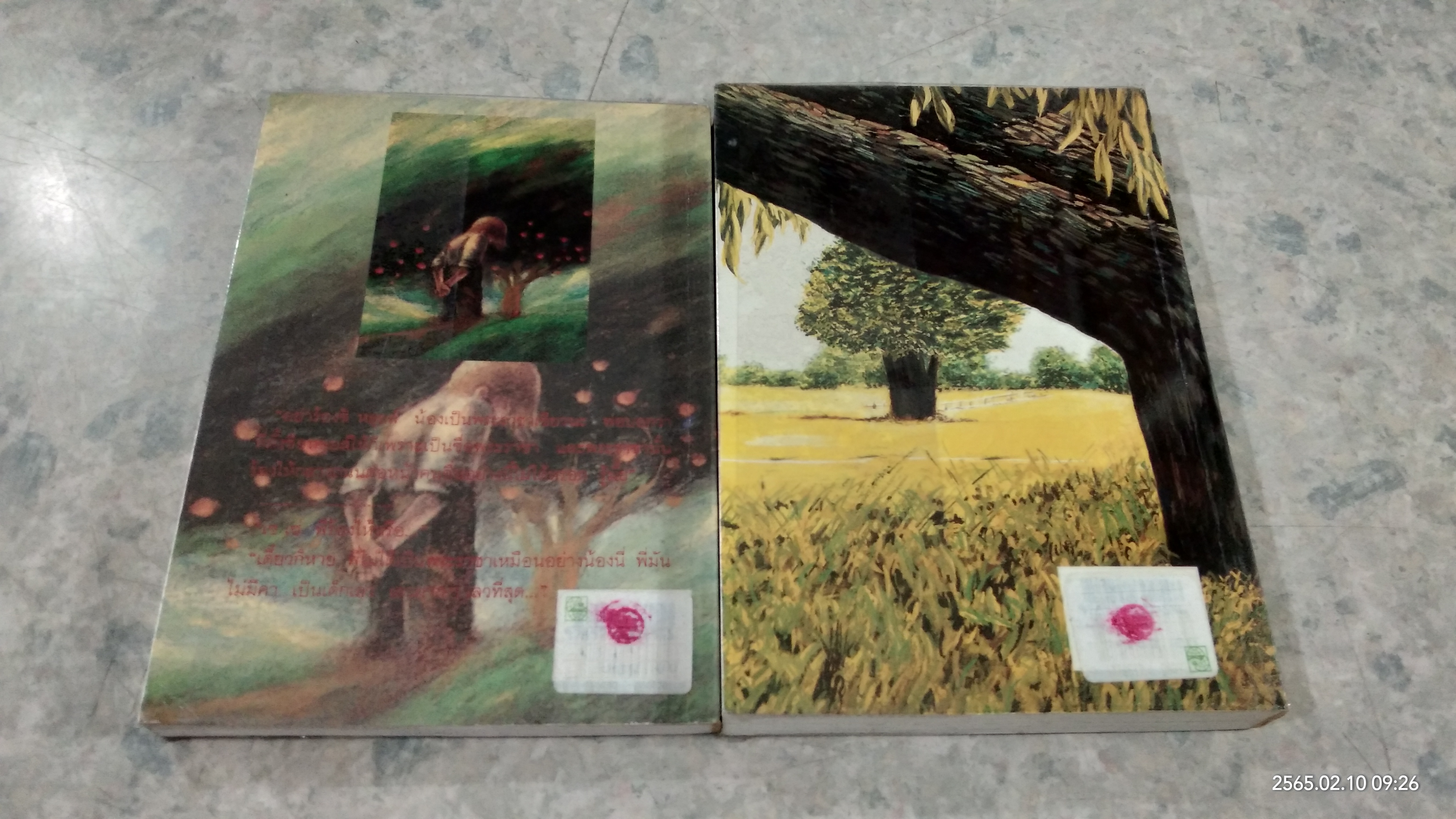 ต้นส้มแสนรัก ภาค 1-2 / โจเซ่ วาสคอนเซลอส