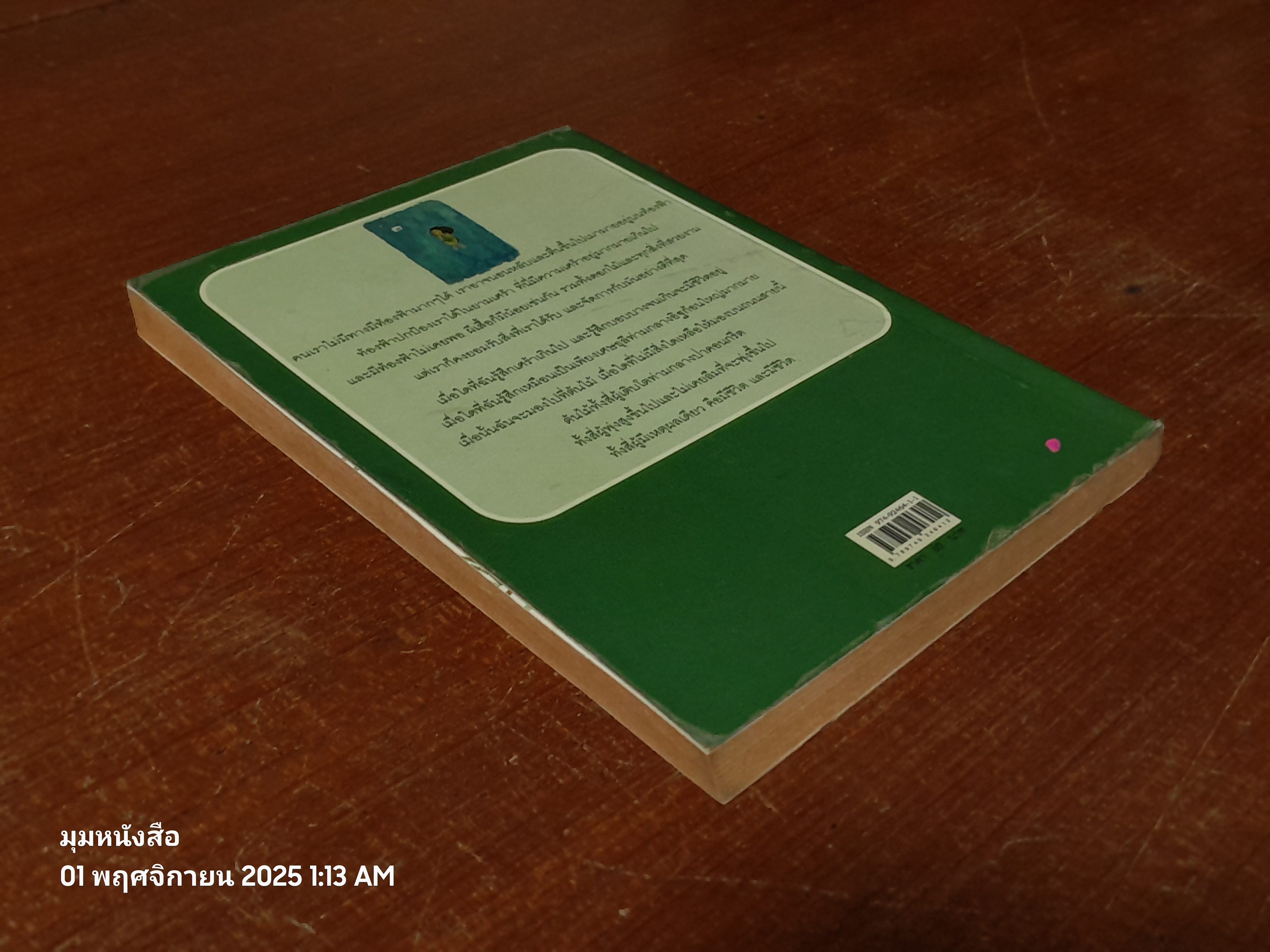 บ้้านบนถนนมะม่วง / แซนดร้า ซิสเนรอส