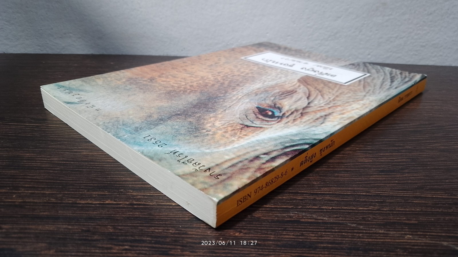 ตลิ่งสูง ซุงหนัก / นิคม รายยวา