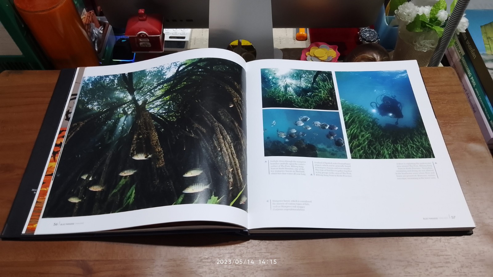 BLUE PARADISE THAILAND