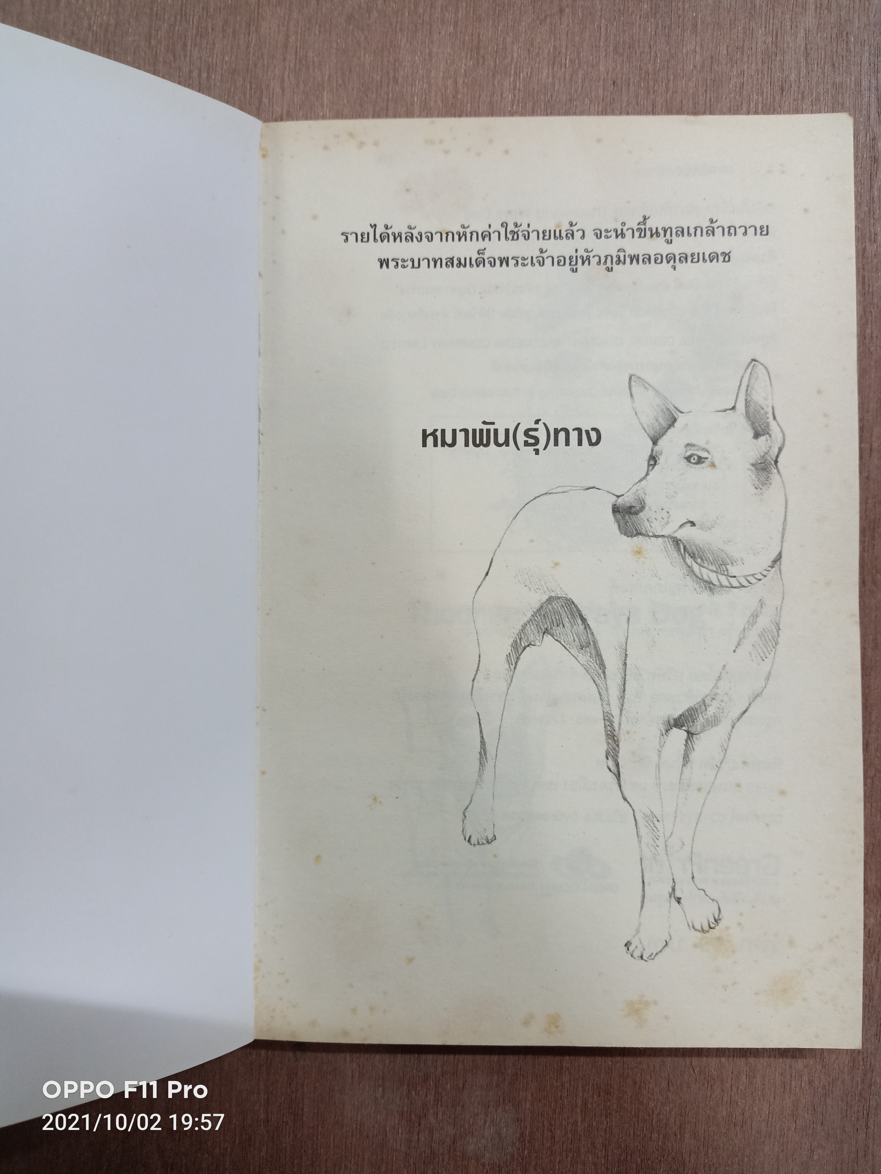 หมาพัน(ธุ์)ทาง 1000 Ways Dog(หนังสือมีรอยด้านในสันหนังสือตามรูปที่ถ่าย) / ชัยวัฒน์ ดำรงกิจกุลชัย