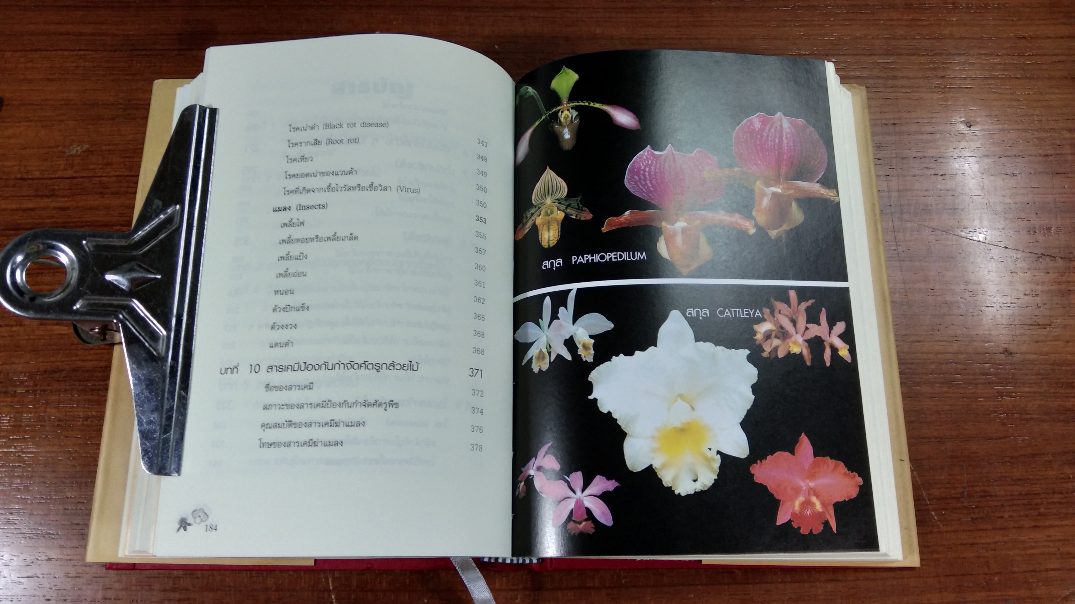 อนุสรณ์ในงานฌาปนกิจศพ นายชาญ บัวเล็ก