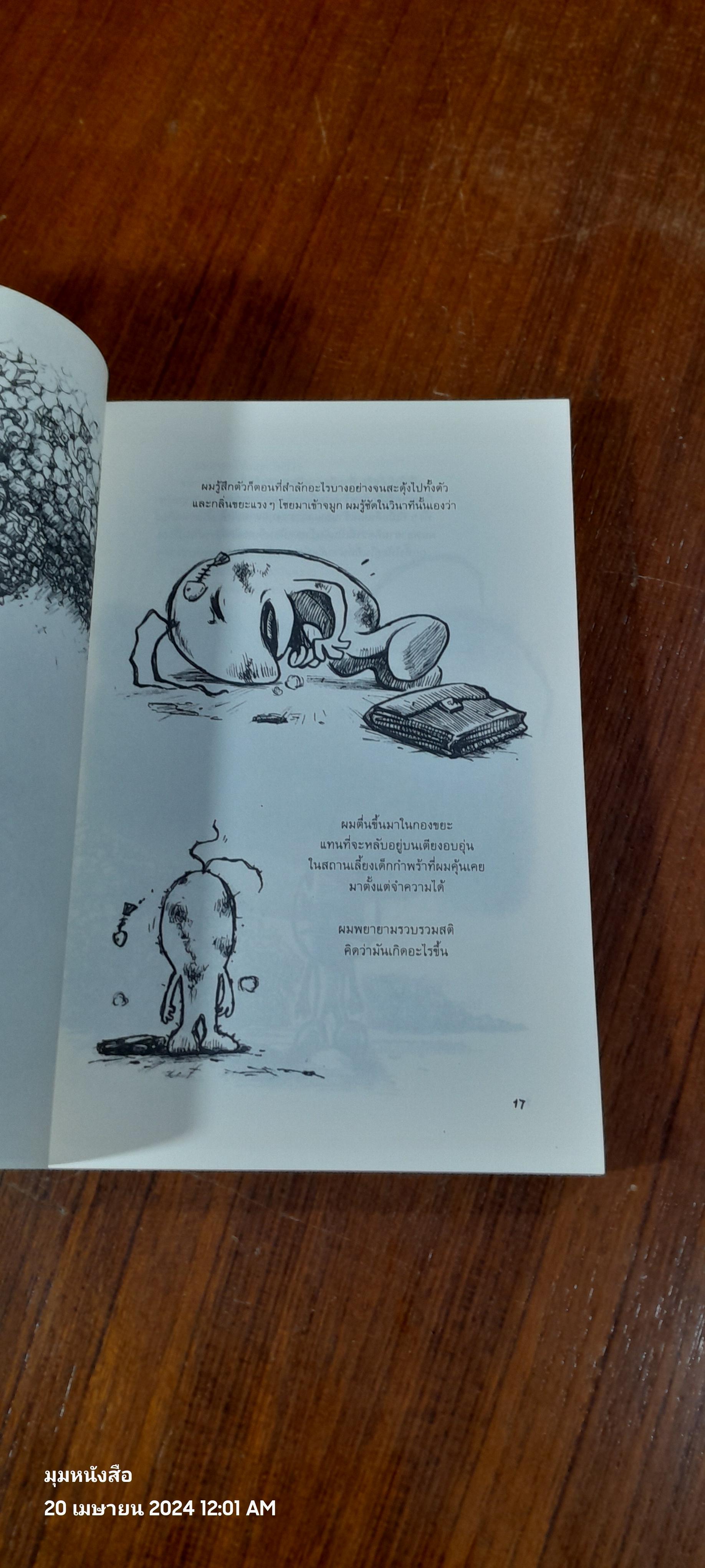 Beansprout & Firehead I In the Infinite Madness - ถั่วงอก และ หัวไฟ (เล่ม1) ในความบ้าคลั่งอันมิรู้สิ้นสุด / ทรงศีล ทิวสมบุญ