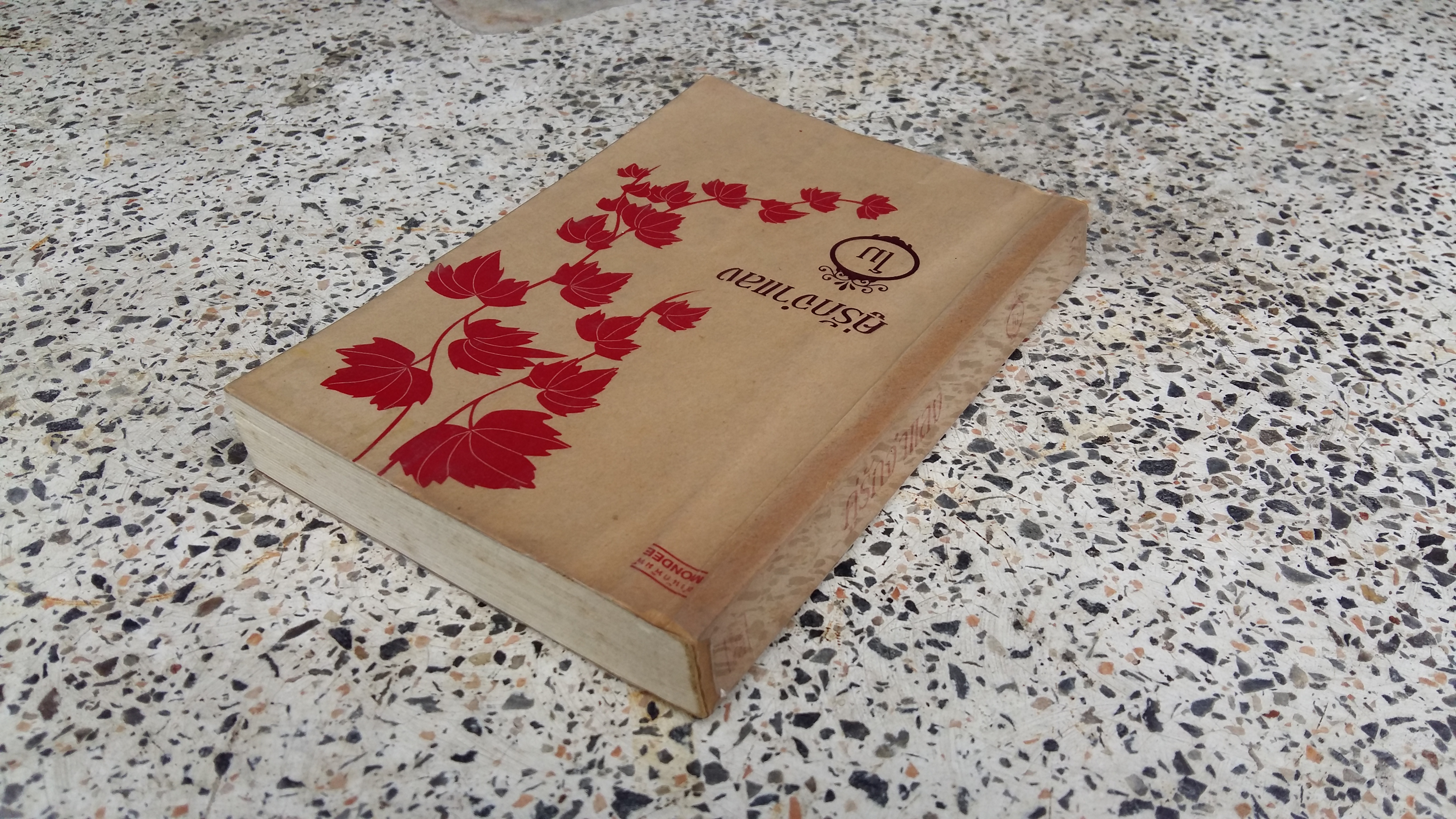 คู่รักจำแลง / โม