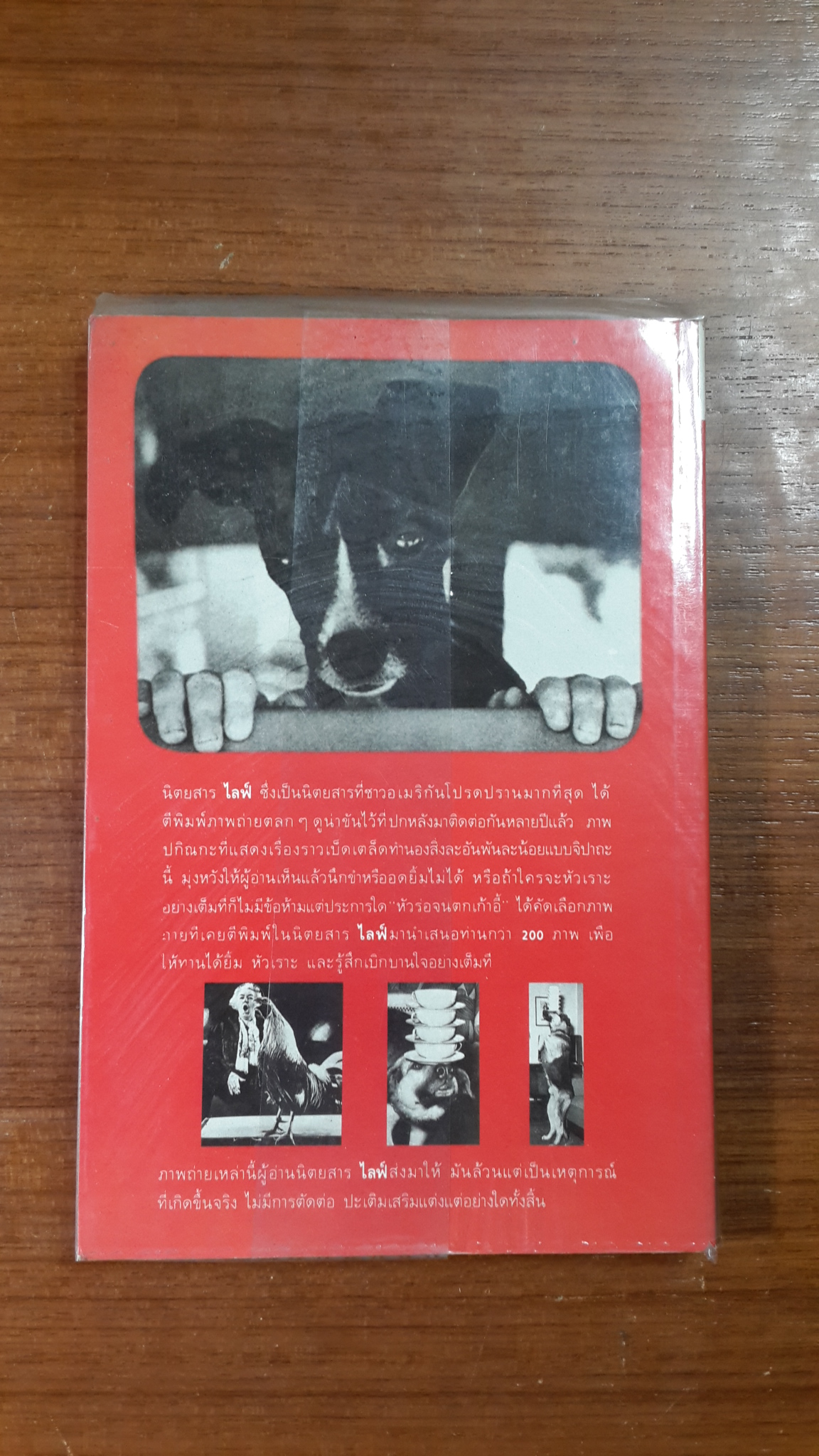 หัวร่อ จนตกเก้าอี้ / ฟิลิป บี. คุนฮาดต์, จูเนียร์