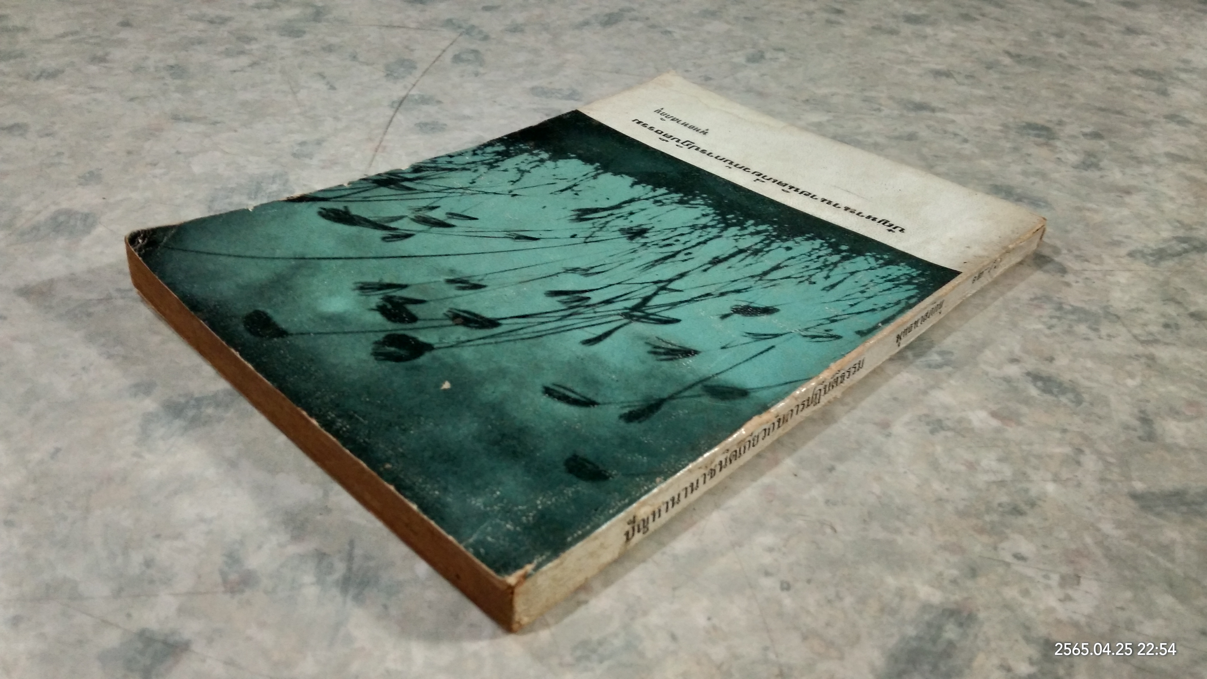 ปัญหานานาชนิดเกี่ยวกับการปฏิบัติธรรม / พุทธทาสภิกขุ