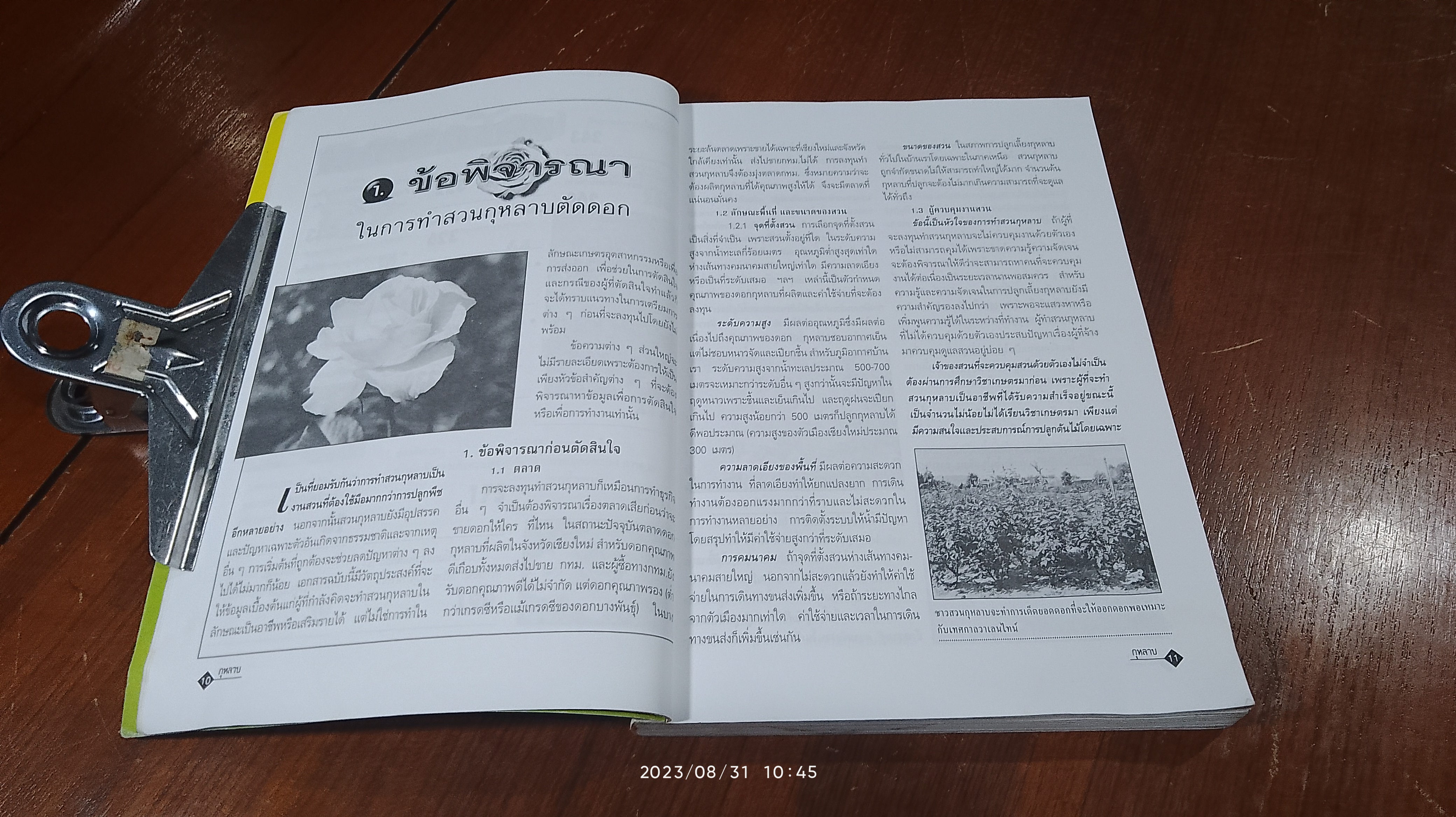 การปลูกกุหลาบยุคใหม่อย่างมืออาชีพ (มีรอยโดนน้ำ) / พจนา นาควัชระ