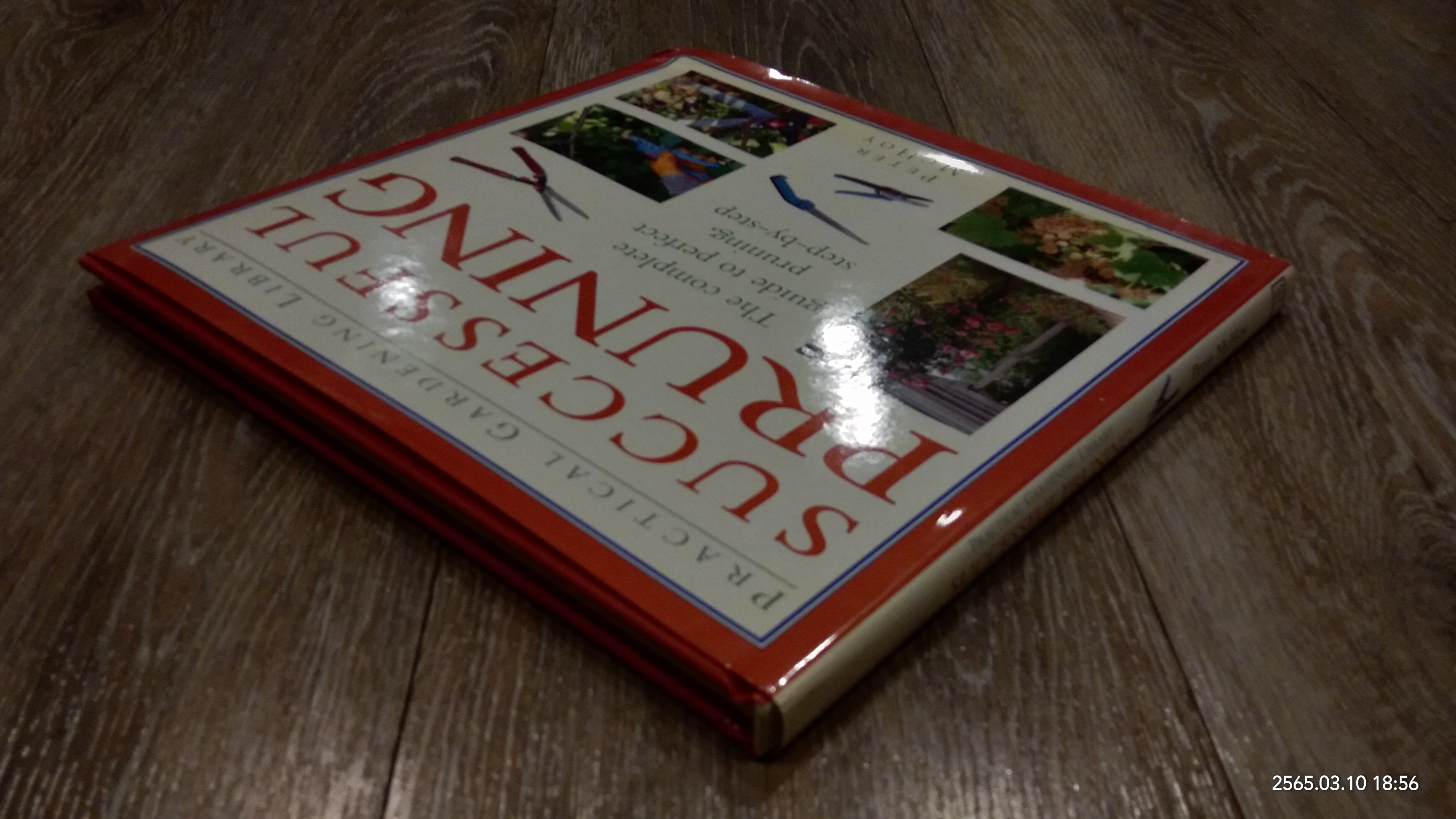 SUCCESSFUL PRUNING / PETER MCHOY