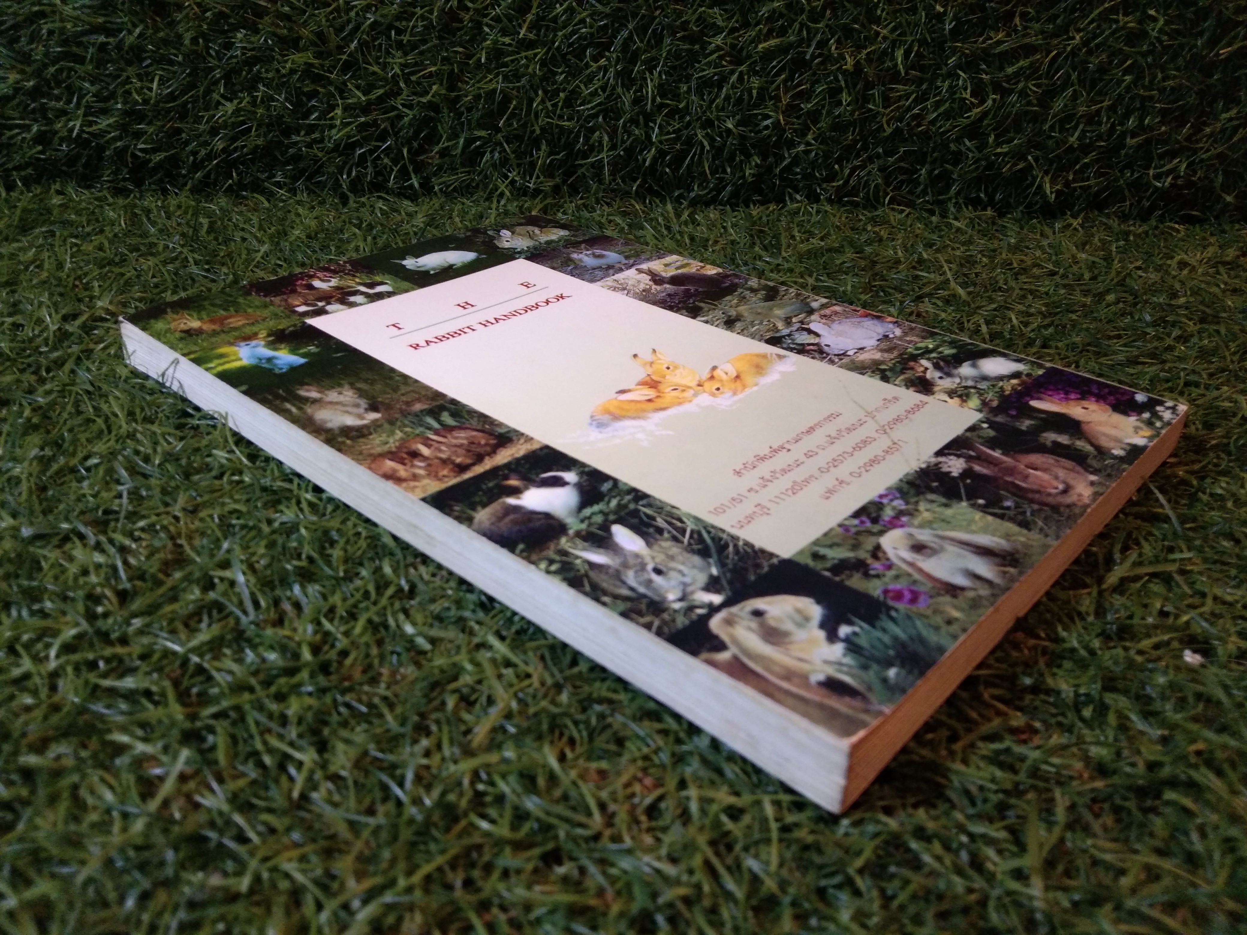 คู่มือกระต่าย THE RABBIT HANDBOOK / กณิกนันท์ ลีฬฆวรรณ