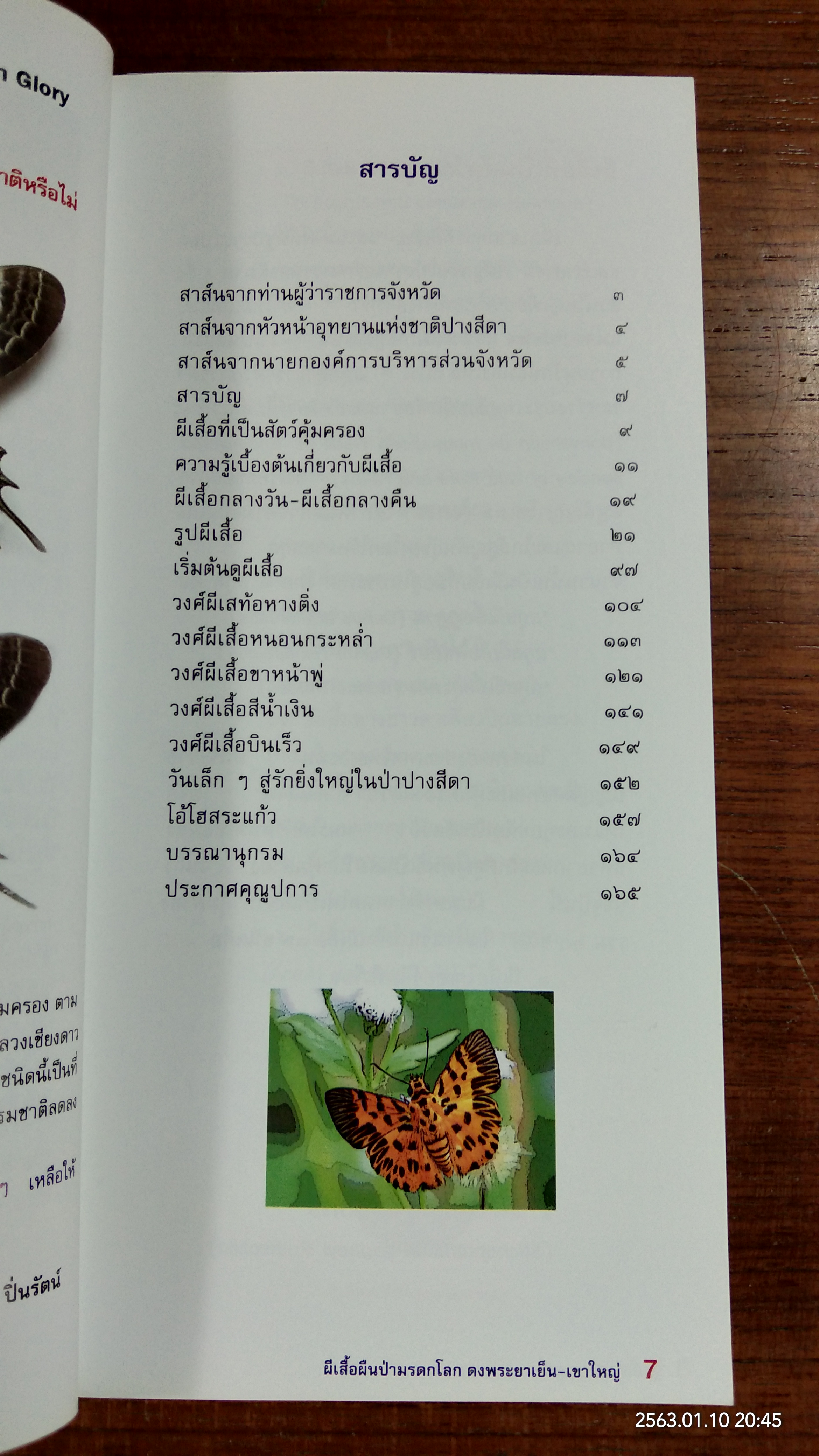 ผีเสื้อ ผืนป่ามรดกโลก / สินธุยศ จันทรสาขา