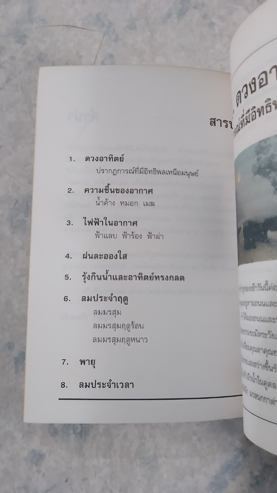 ผักกาดกับรวงข้าว / ธัญญา เรืองแก้ว