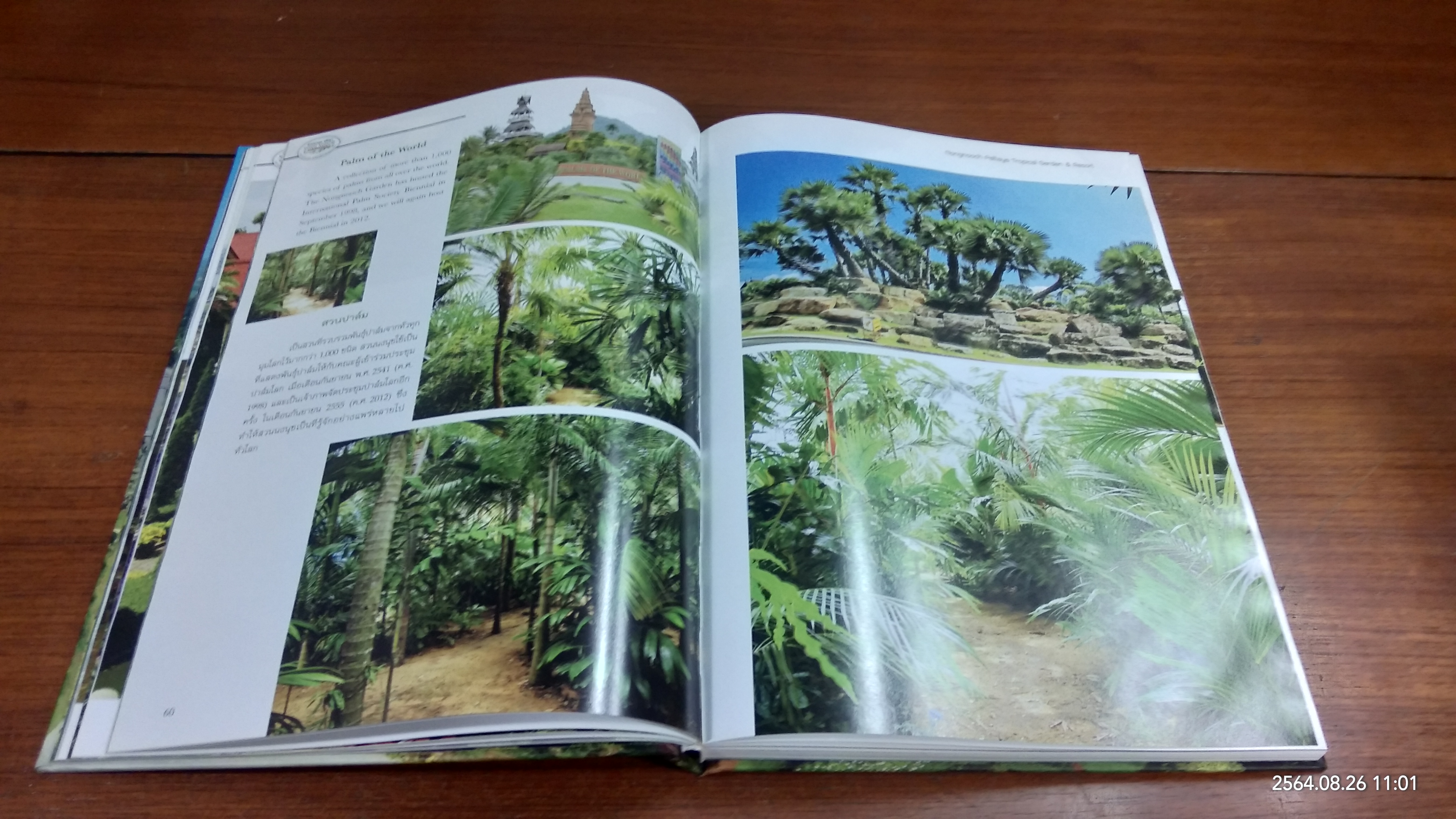 สวนพฤกษศาสตร์นงนุช พัทยา