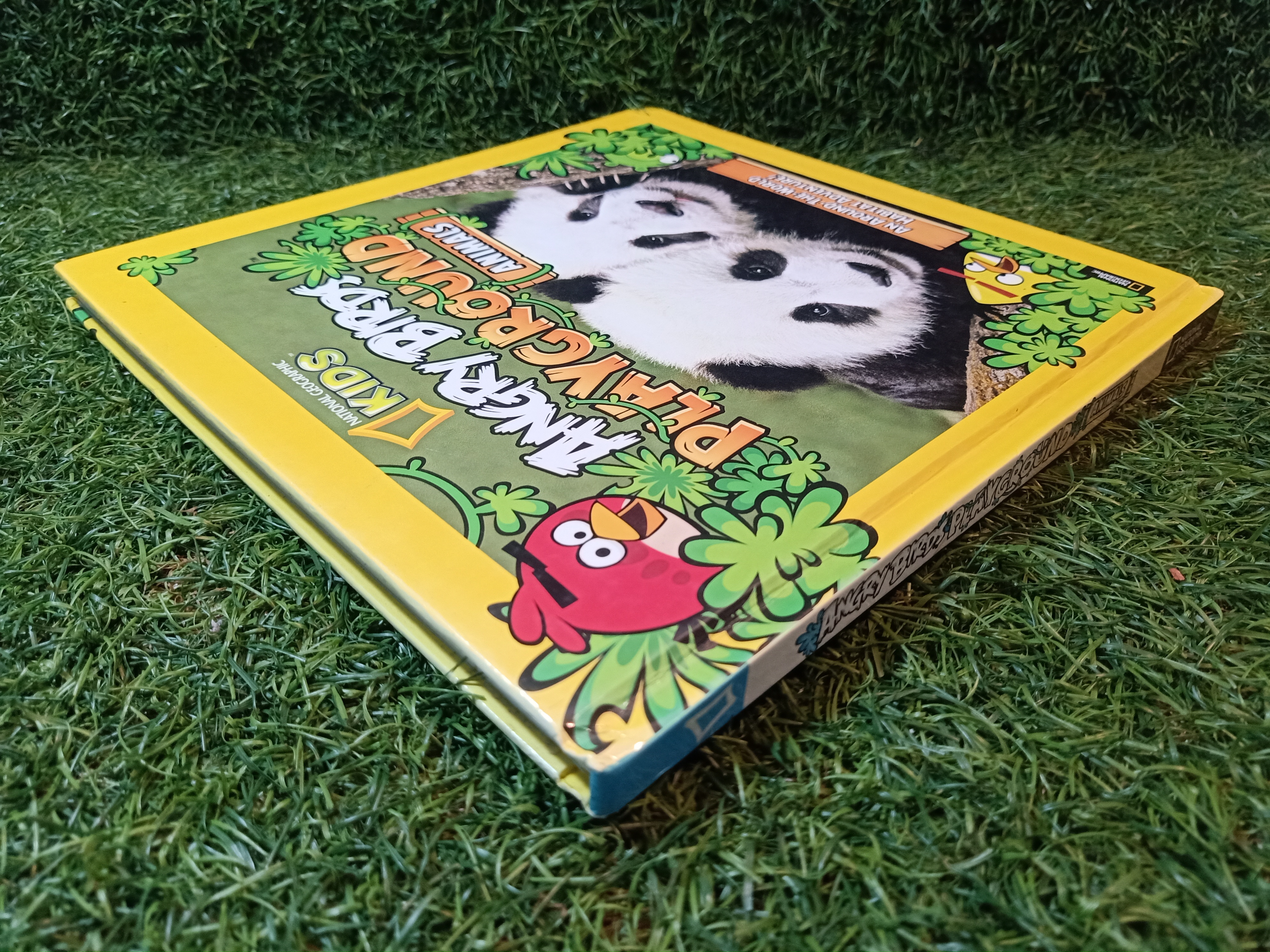 ANGRY BIRDS PLAYGROUND (ANIMALS) / NATIONAL GEOGRAPHIC