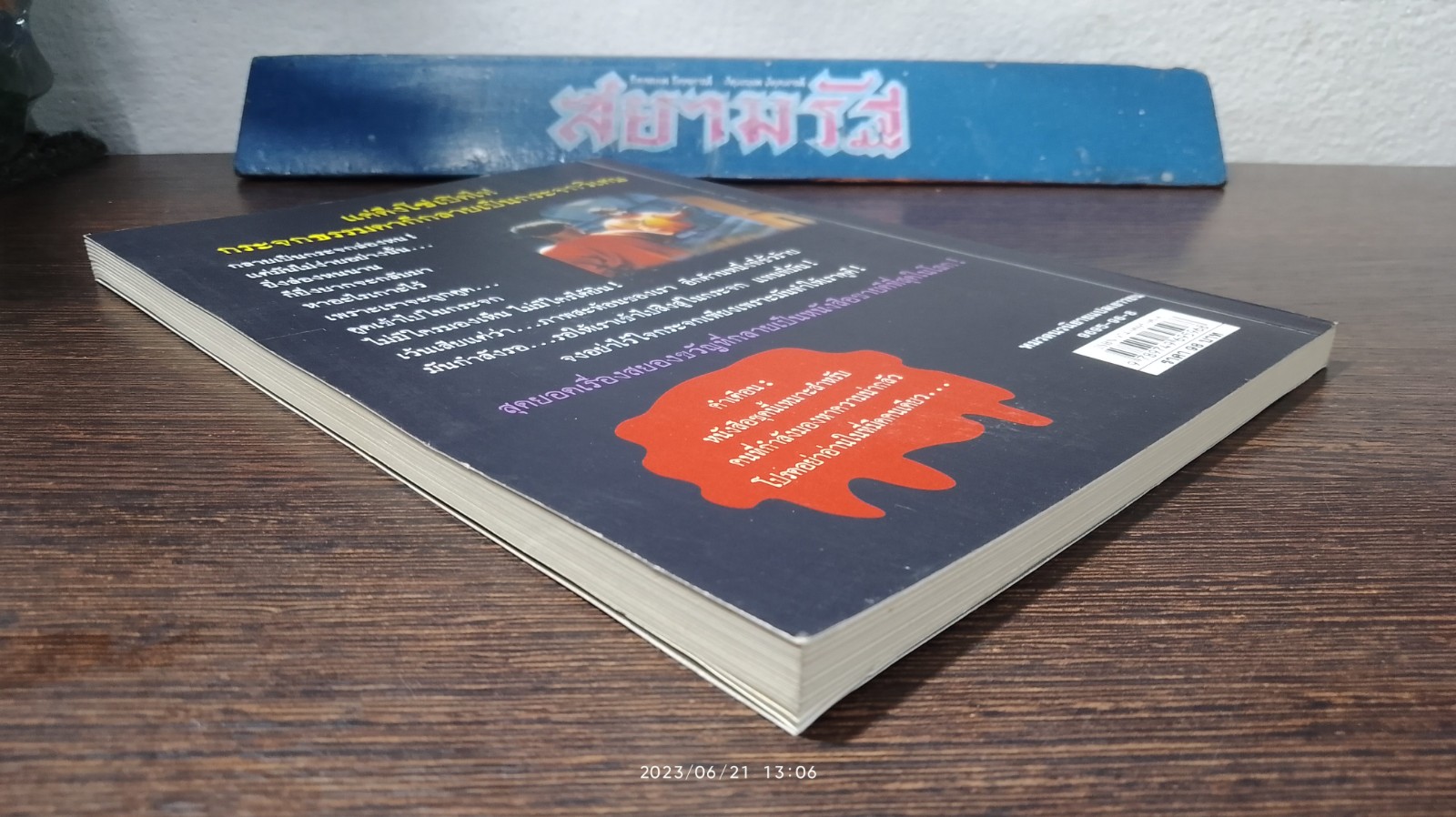 ชมรมขนหัวลุก ตอน เด็กล่องหน / R.L.STINE