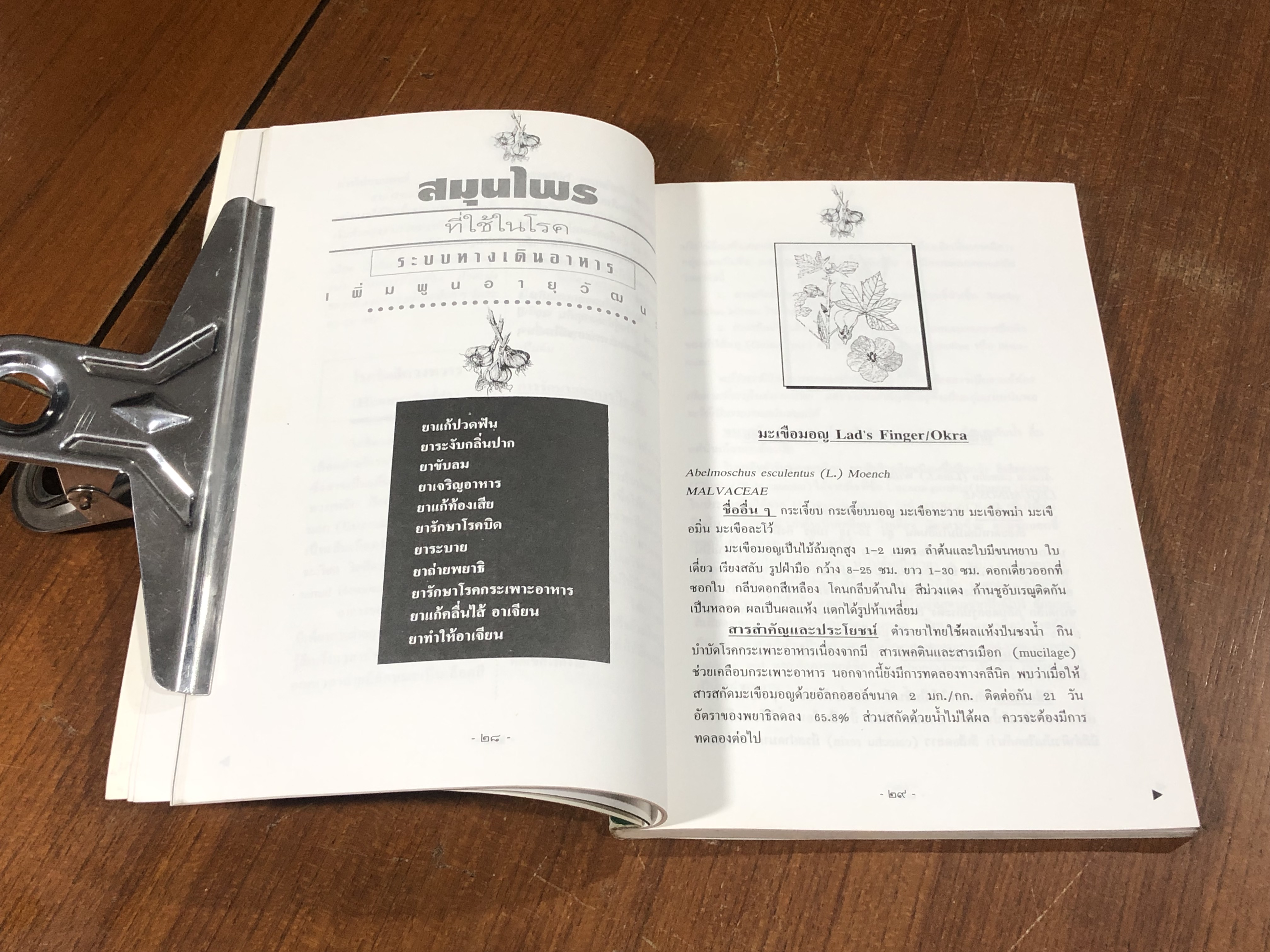 สมุนไพรไทยอายุวัฒนะ / ชมรมสมุนไพร