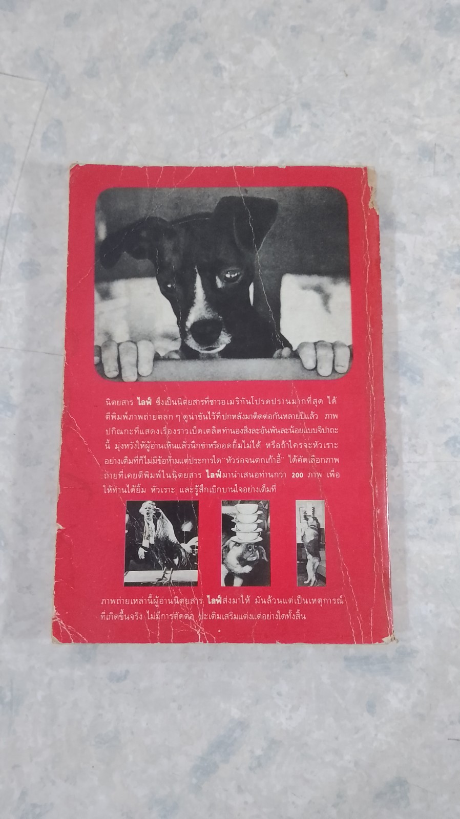 ห้วร่อจนตกเก้าอี้ / ฟิลิป บี คุนฮาดต์