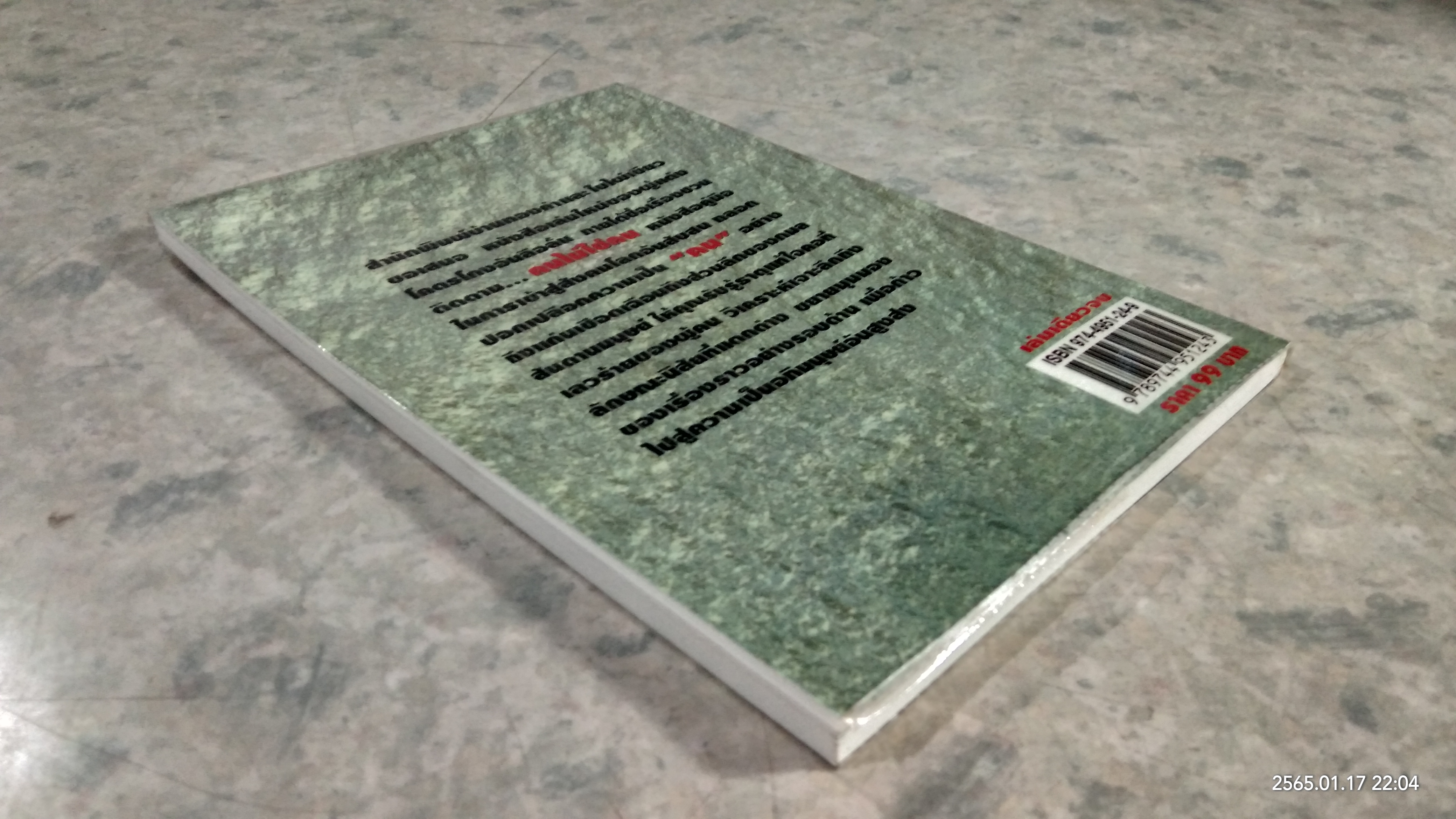 คนไม่ใช่คน / ใบไผ่เชียว