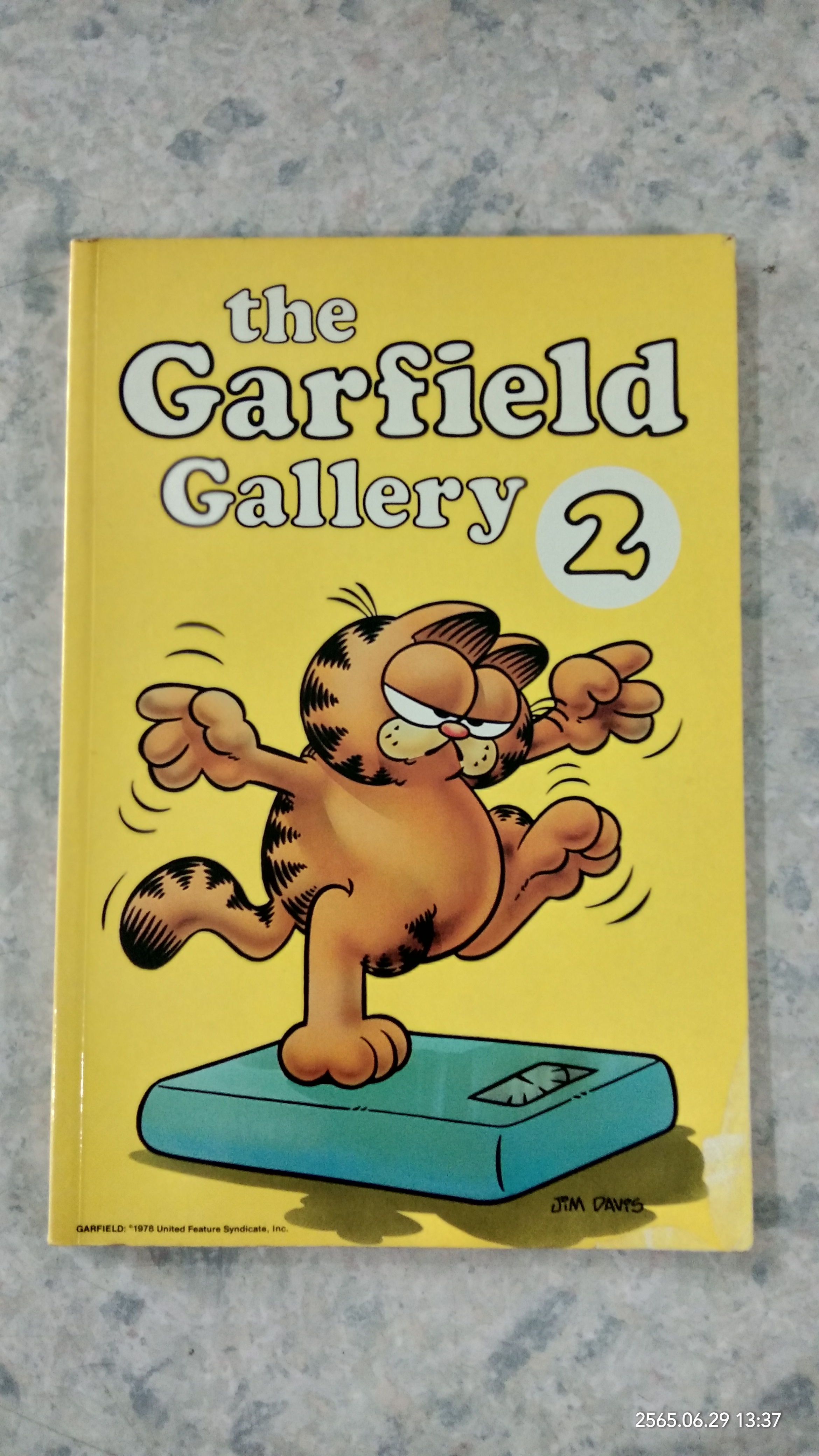 the Garfield Gallery 2 / JiM DAViS