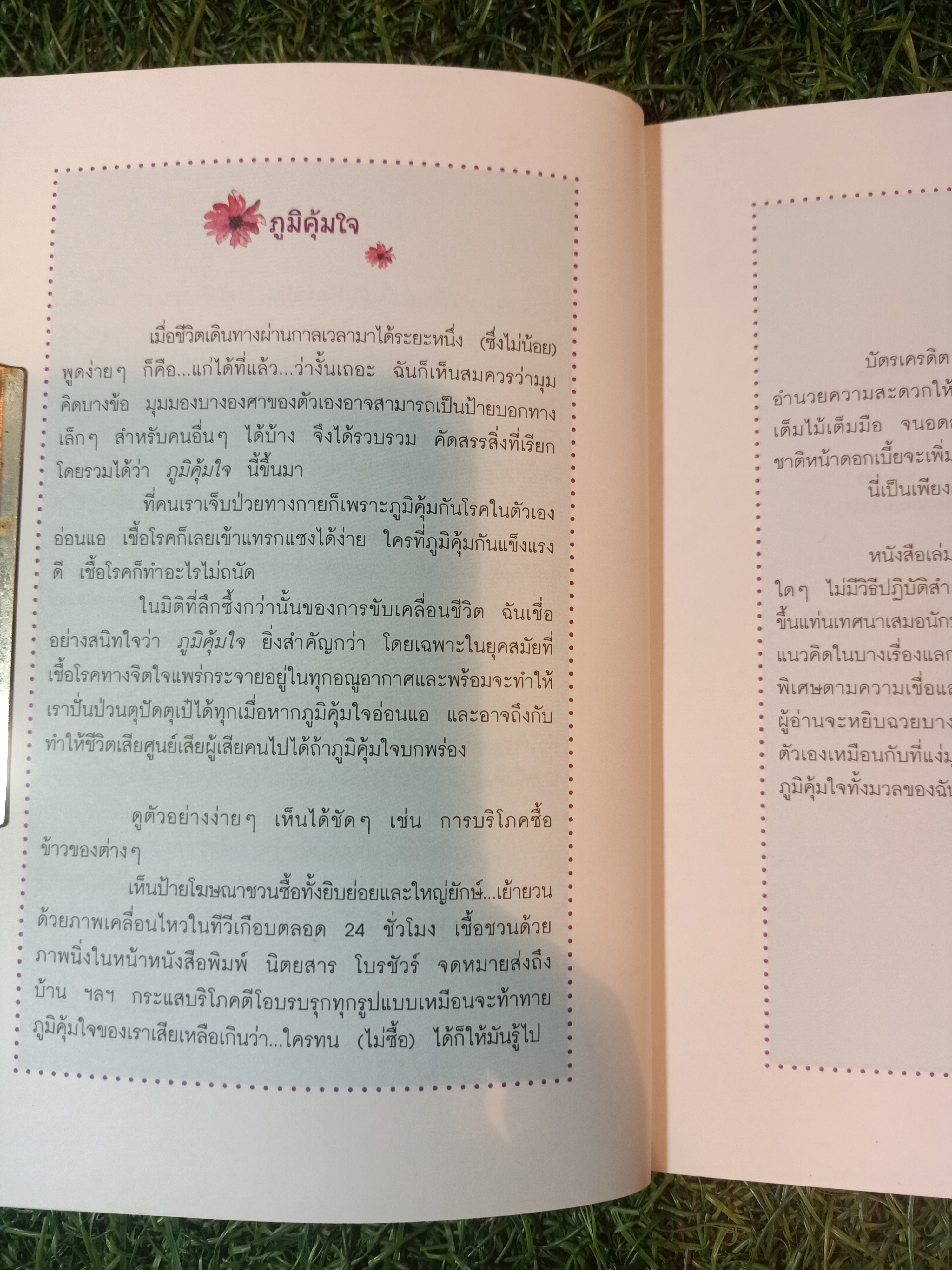 ภูมิคุ้มใจ / เพลงดาบแม่น้ำร้อยสาย