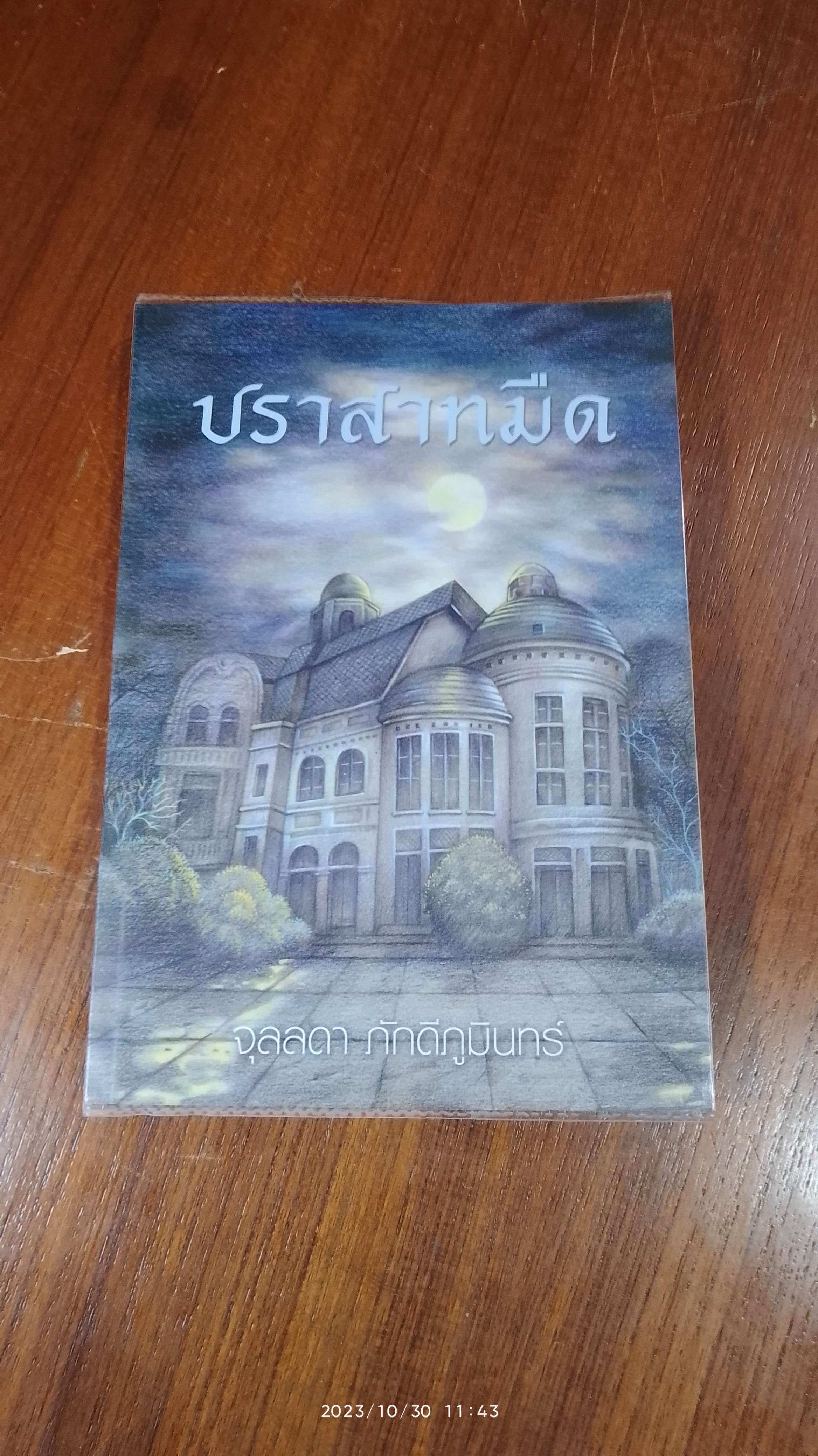 ปราสาทมืด / จุลลดา ภักดีภูมินทร์
