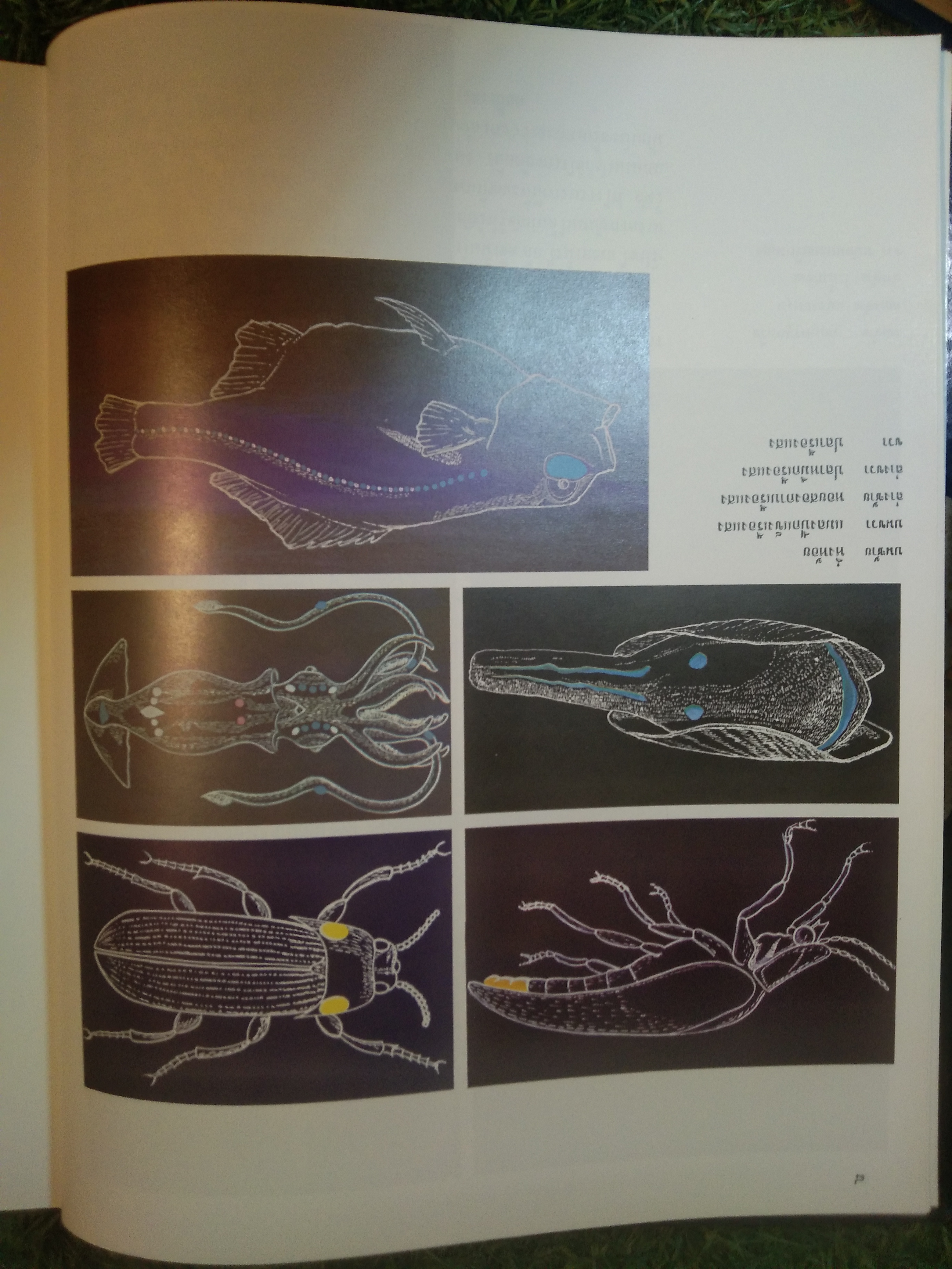 สารานุกรมไทยสำหรับเยาวชน เล่ม 4 / โดยพระราชประสงค์ในพระบาทสมเด็จพระเจ้าอยู่หัว