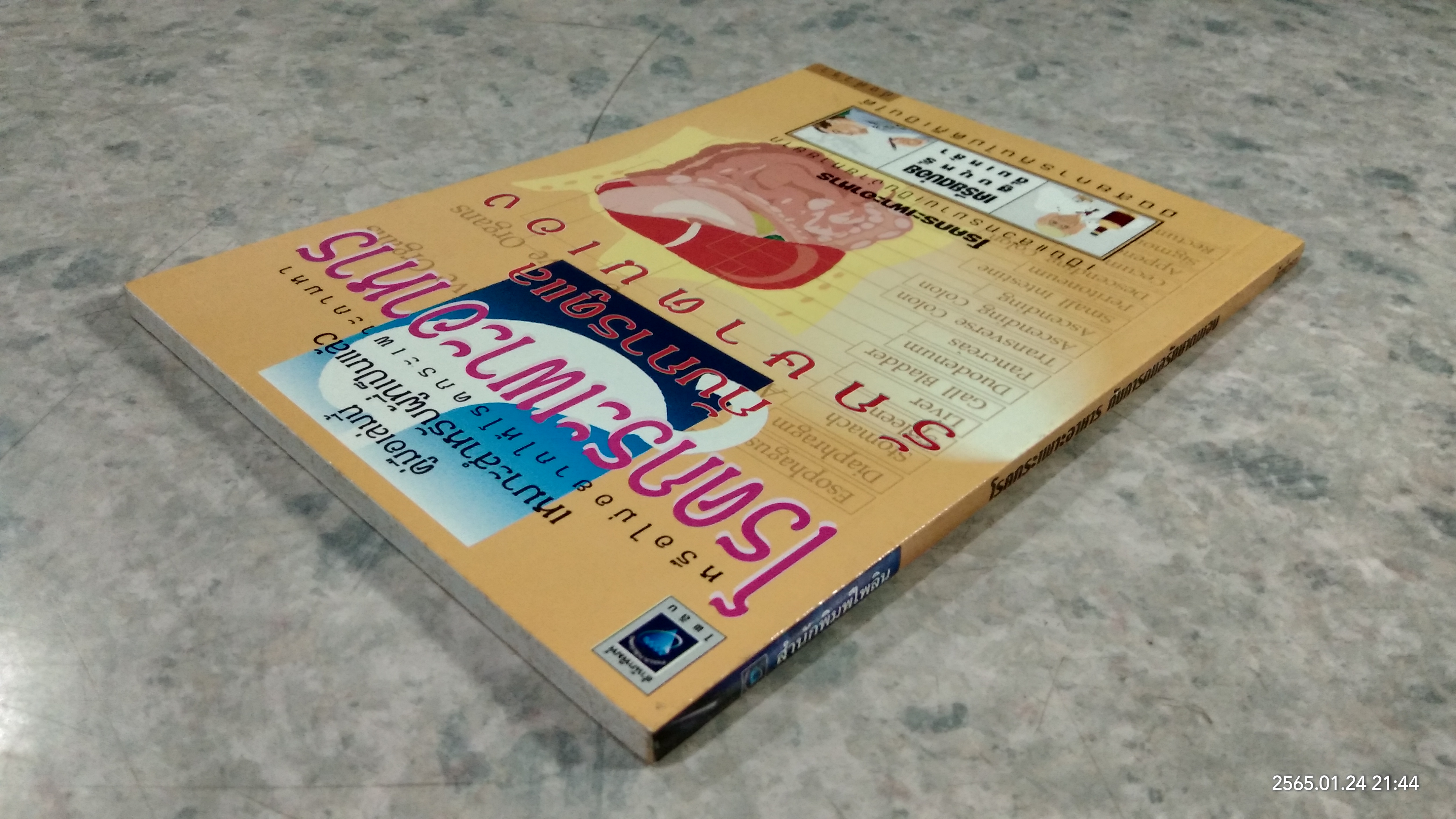 โรคกระเพาะอาหาร กับการดูแลรักษาตนเอง / อังค์วรา