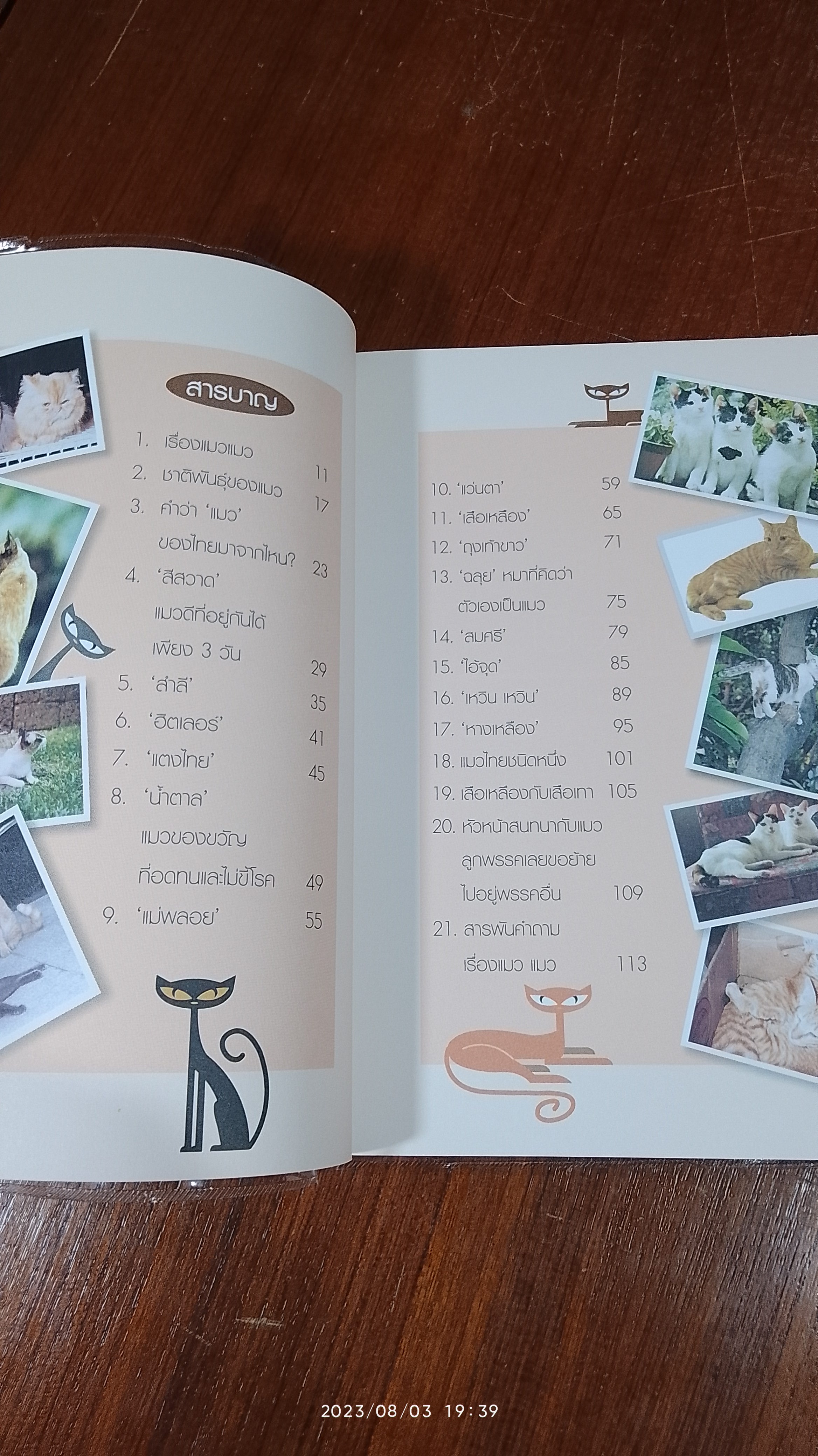 คนรักแมว / สมัคร สุนทรเวช