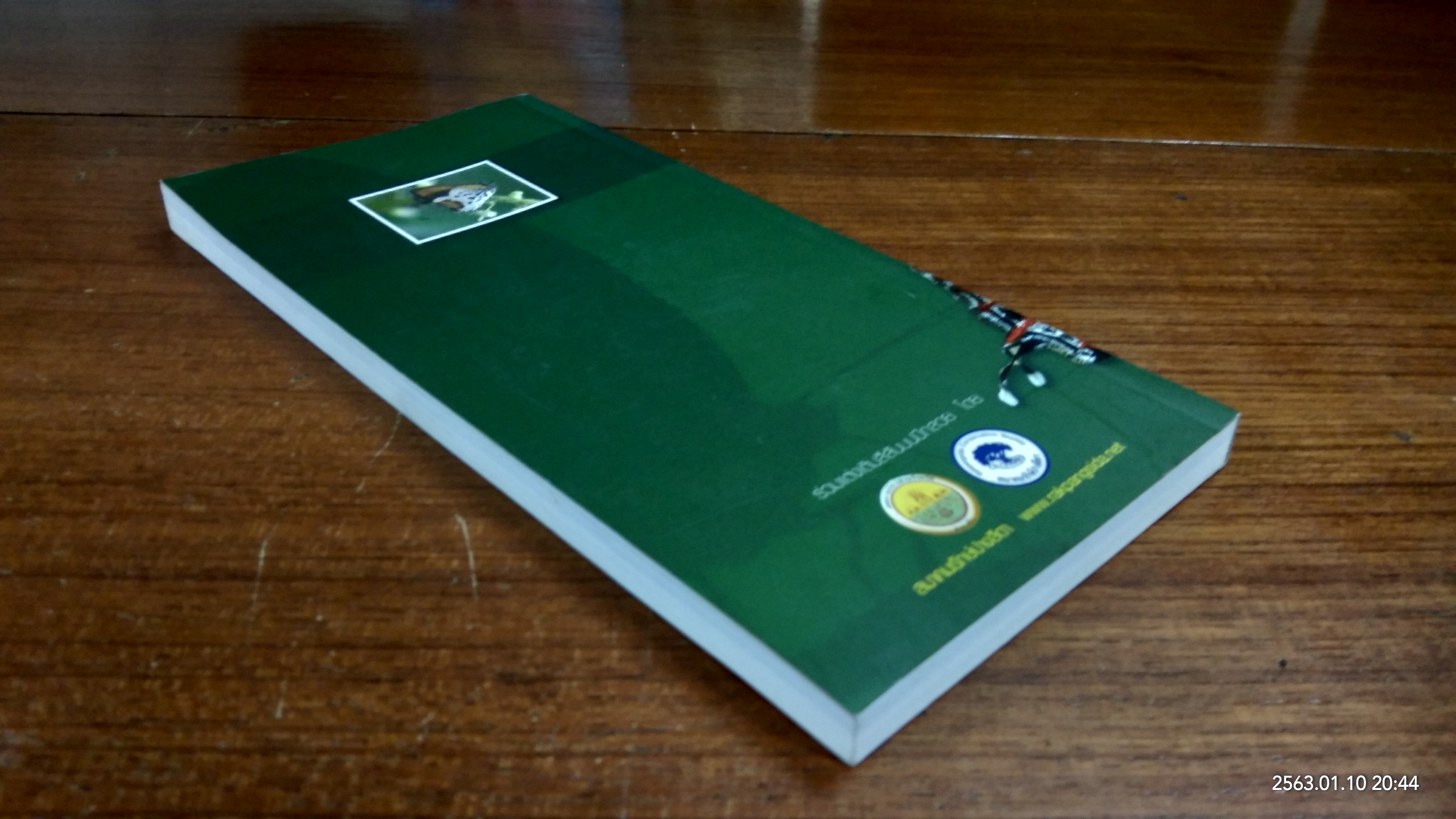 ผีเสื้อ ผืนป่ามรดกโลก / สินธุยศ จันทรสาขา