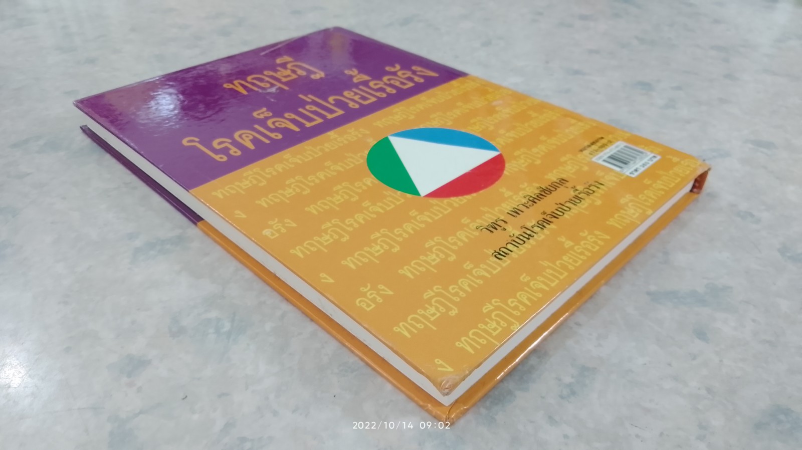 ทฤษฎีโรคเจ็บป่วยเรื้อรัง / วิฑูร เทวะศิลชัยกุล