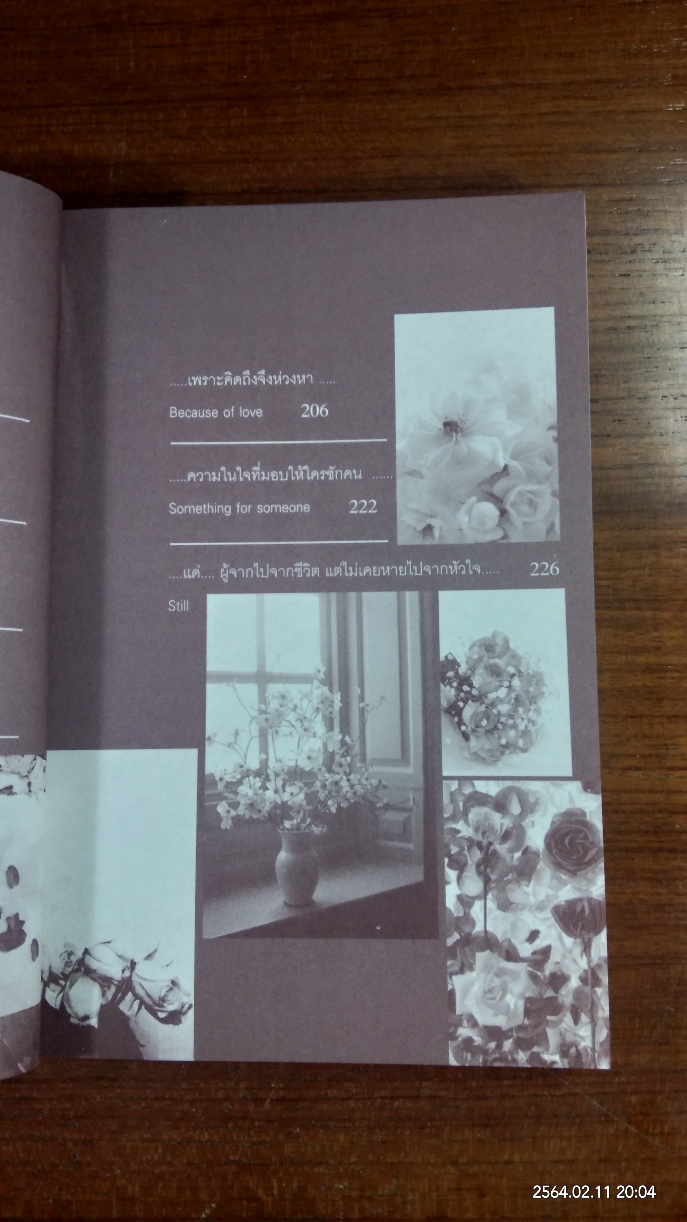 Bi Diary / เบน