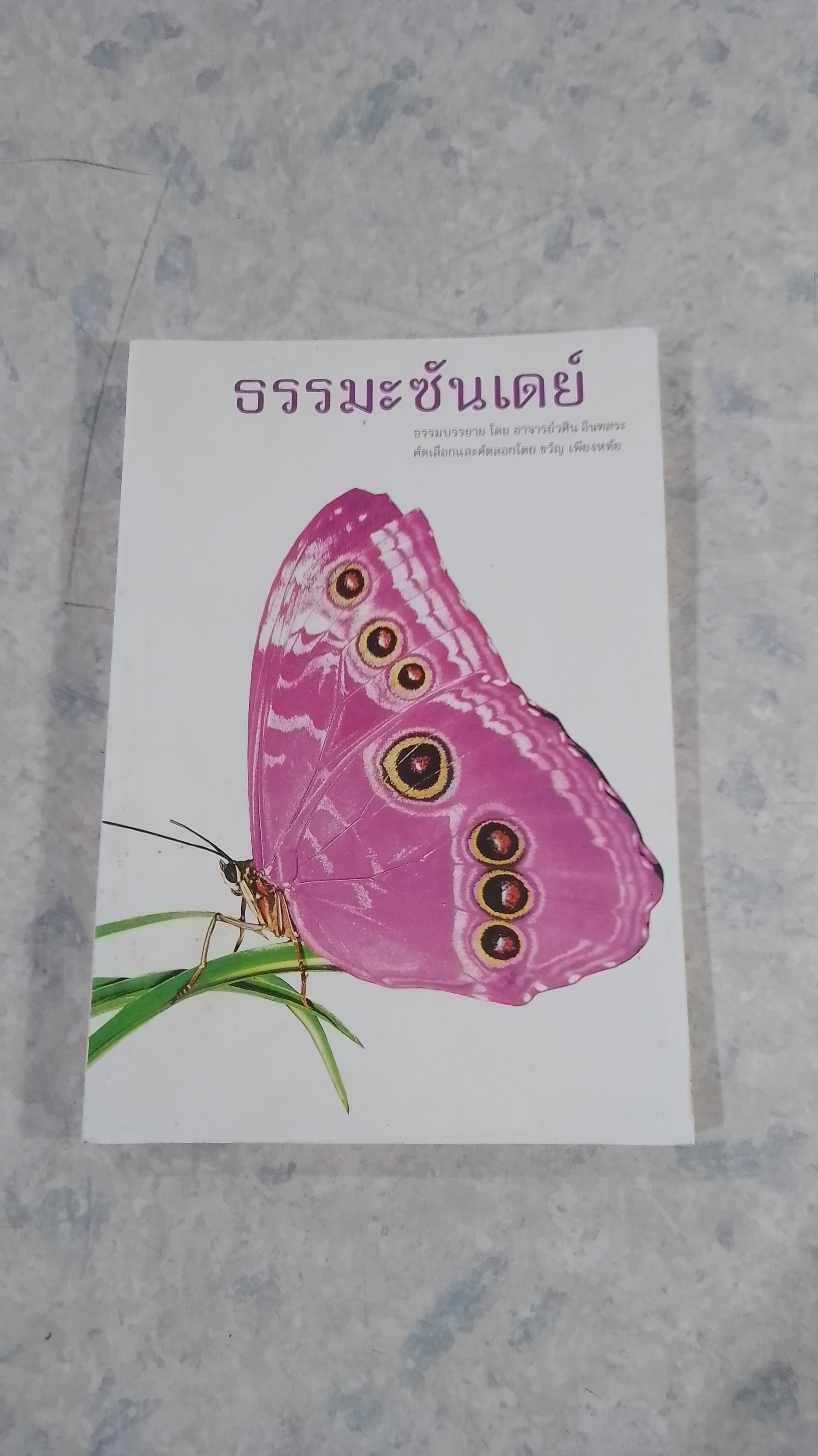 ธรรมะซันเดย์ / อาจารย์วศิน อินทสระ