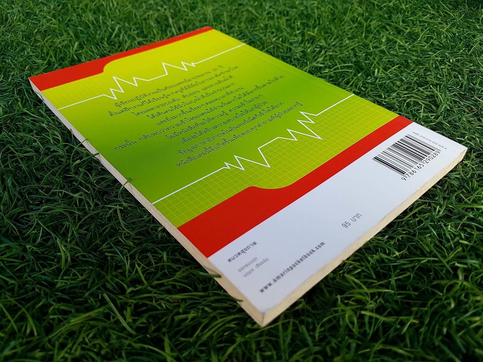 นิ่ว ในถุงน้ำดี / รองศาสตราจารย์ นายแพทย์พัฒน์พงศ์ นาวีเจริญ