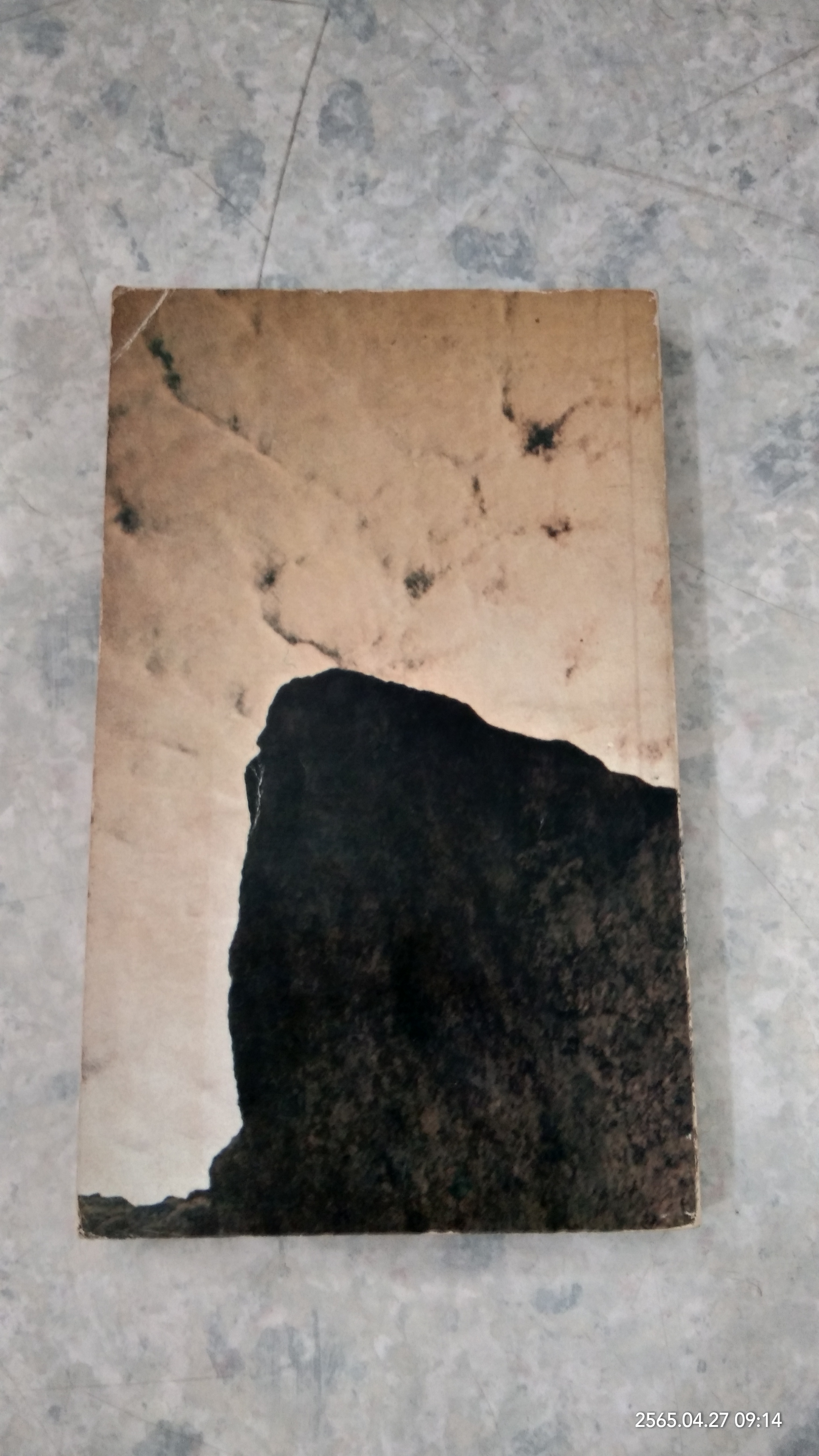 เสพสม บ่มิสม ชุดพิเศษ (1) / น.พ.นพพร