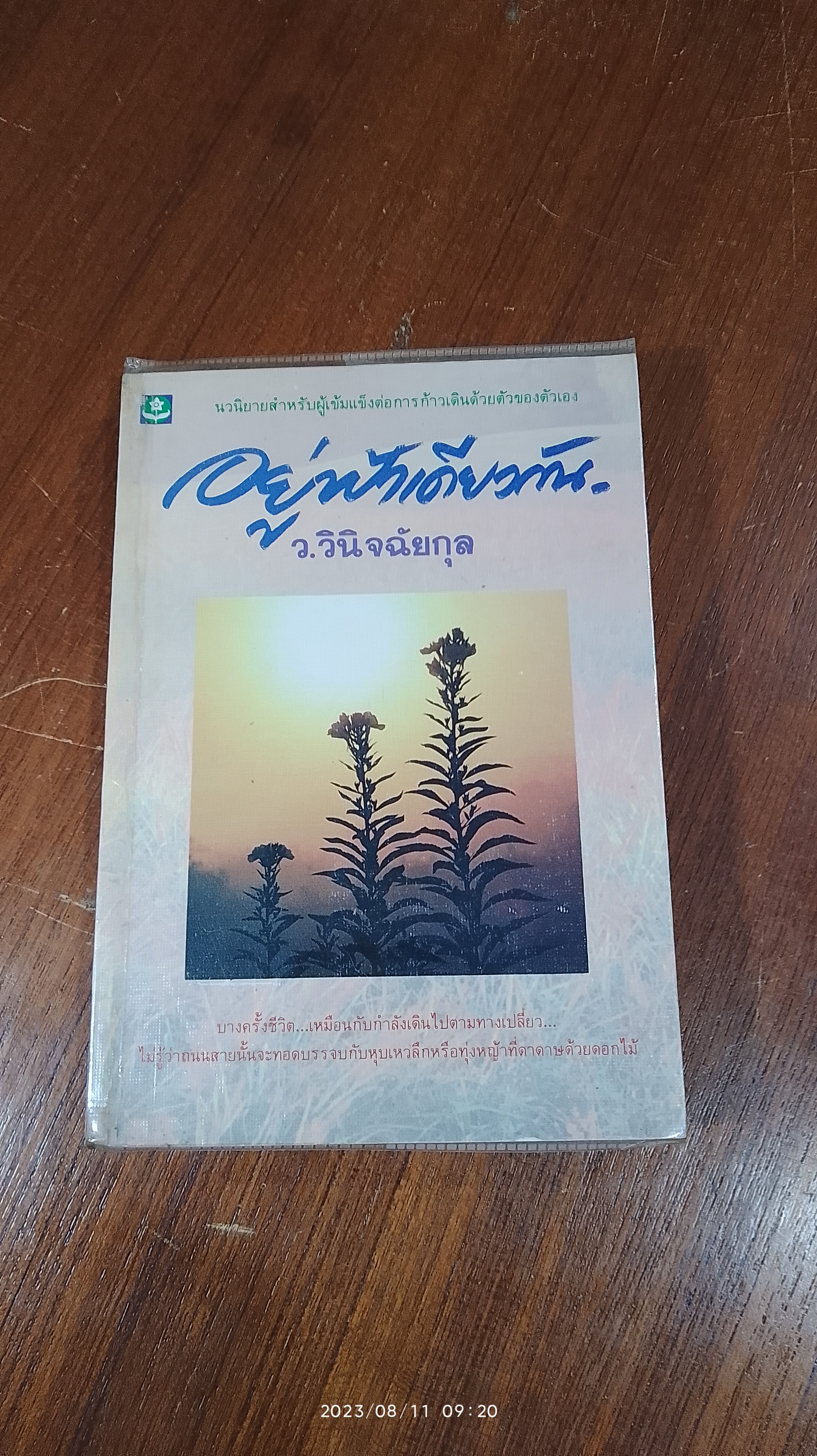 อยู่ฟ้าเดียวกัน / ว.วินิจฉัยกุล