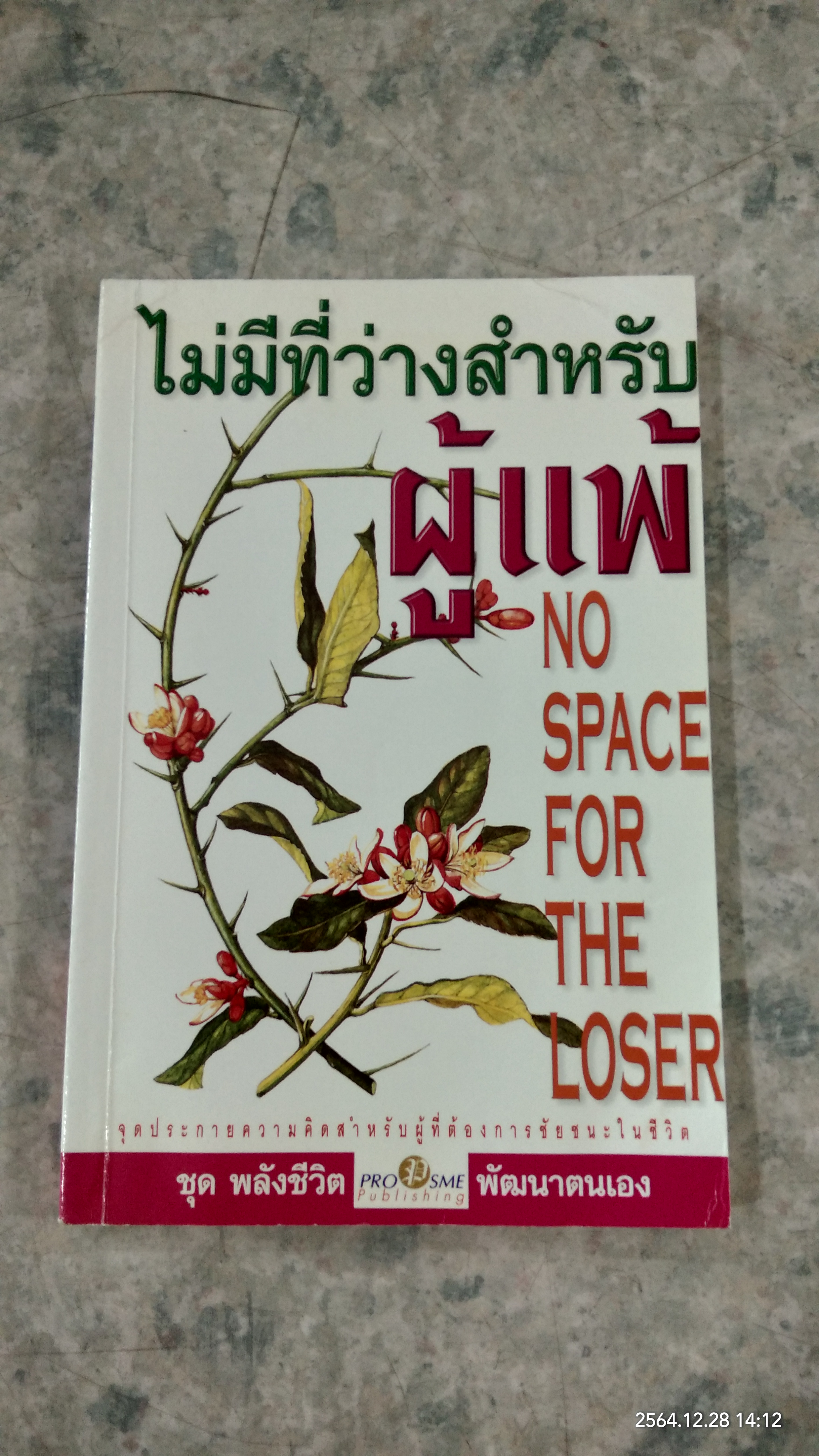 ไม่มีที่ว่างสำหรับผู้แพ้ / เตโชดม ภัทรศัย