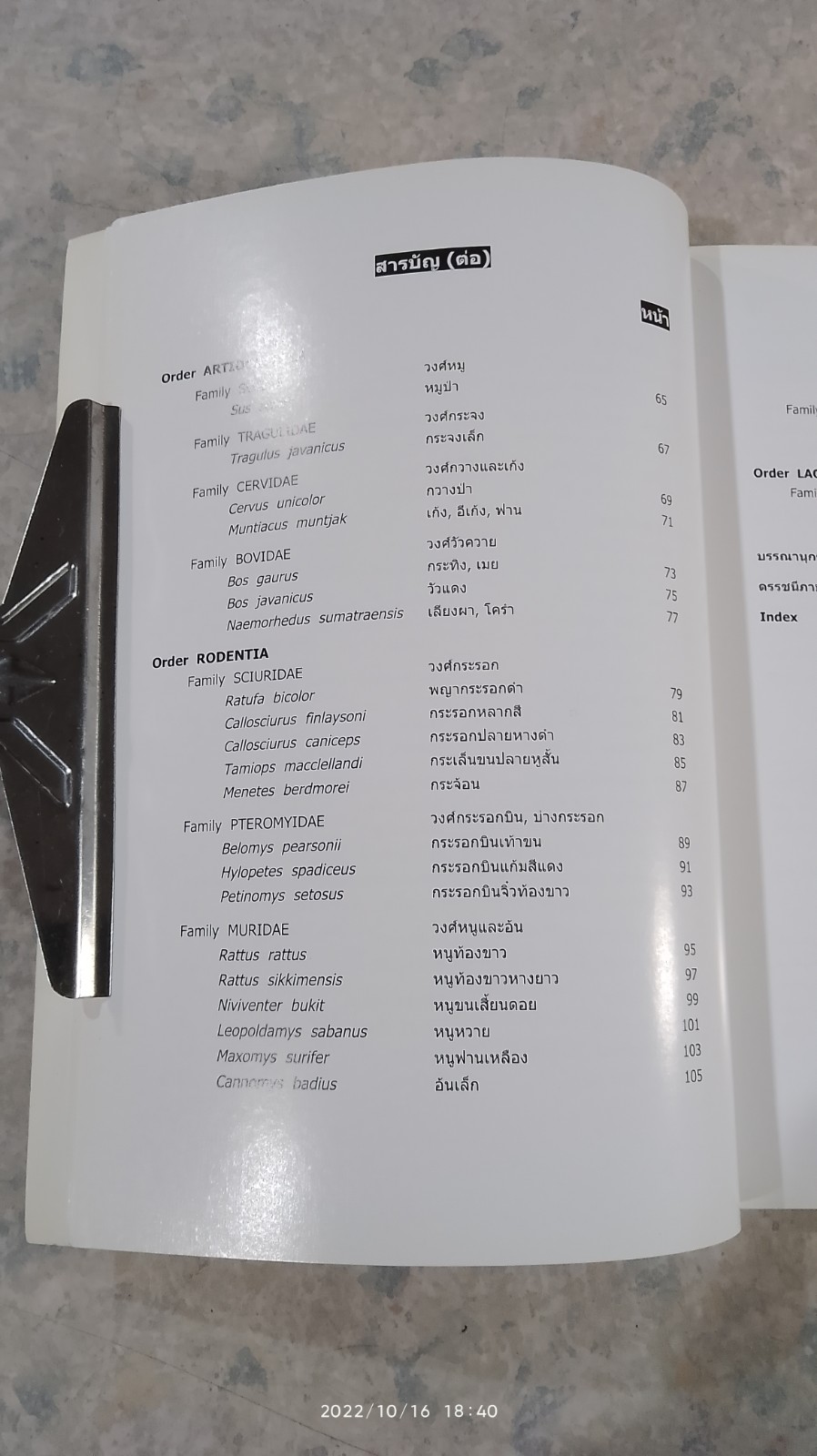 สัตว์เลี้ยงลูกด้วยนมในป่าสะแกราช