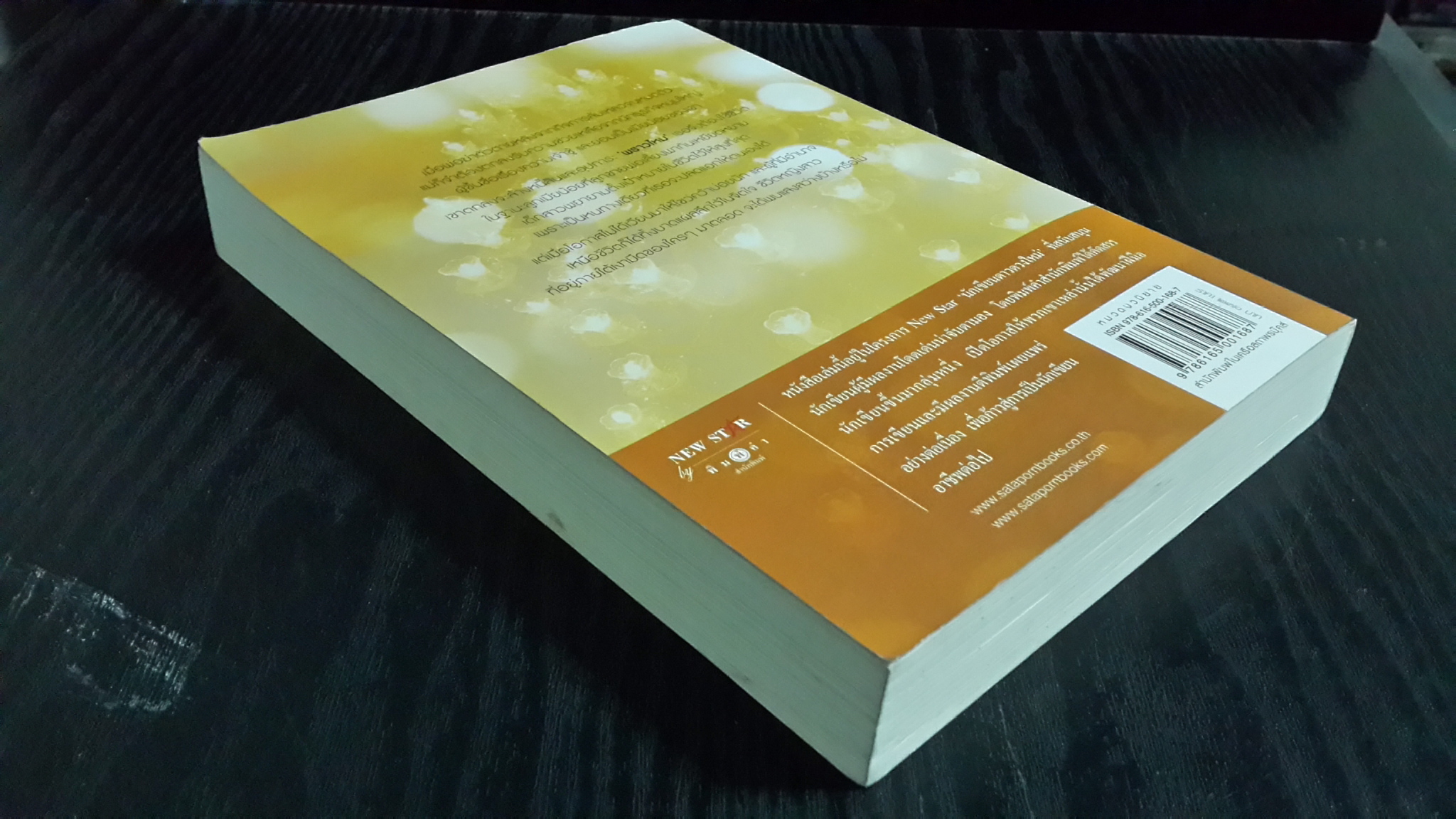 ระบำเงา / กุลธิดา