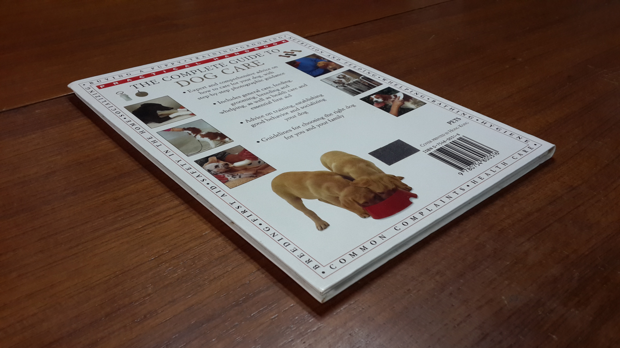 THE COMPLETE GUIDE TO DOG CARE / DR PETER LARKIN